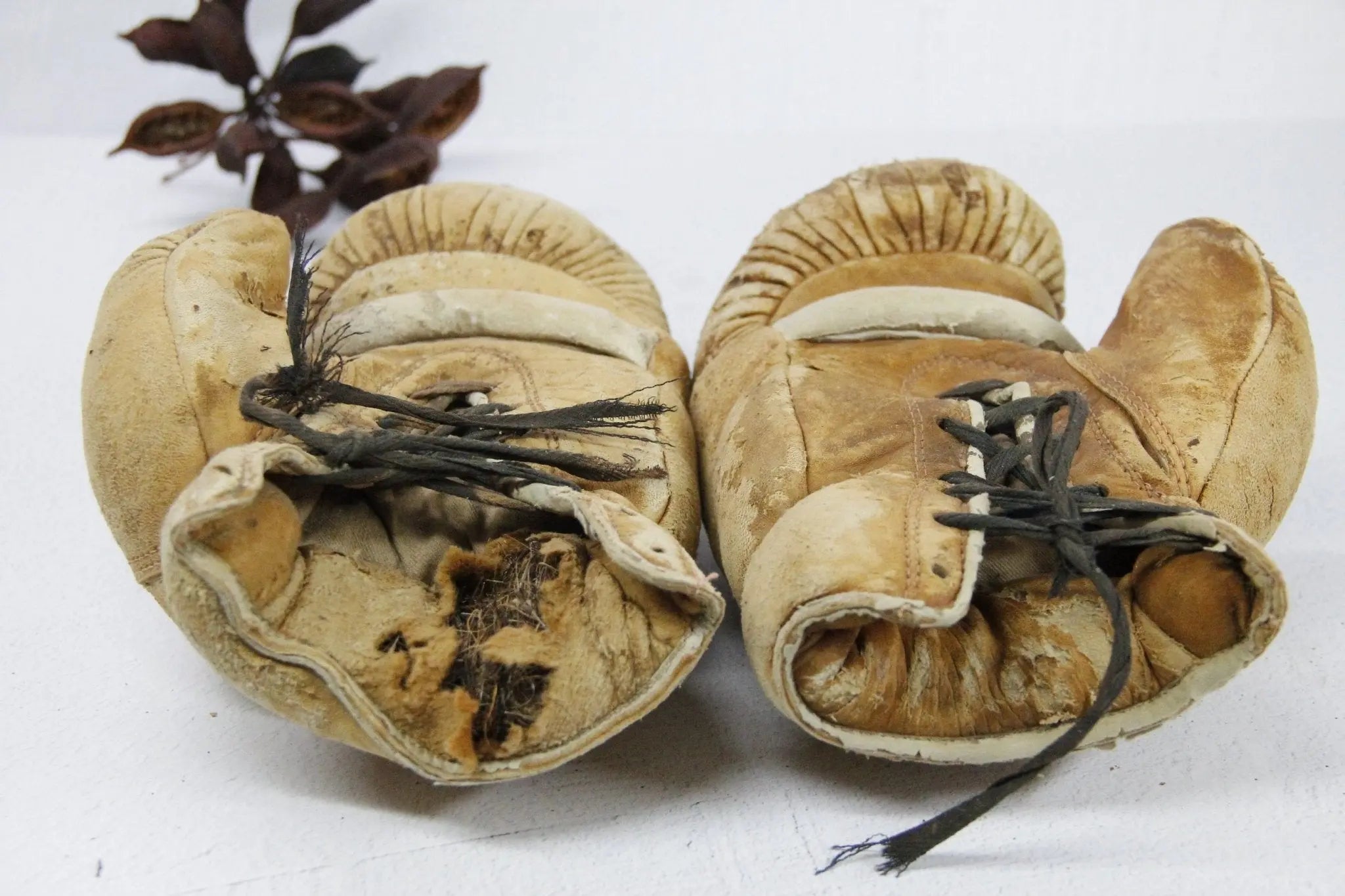 Antique Boxing Gloves | Horse Hair and Leather  Debra Hall Lifestyle