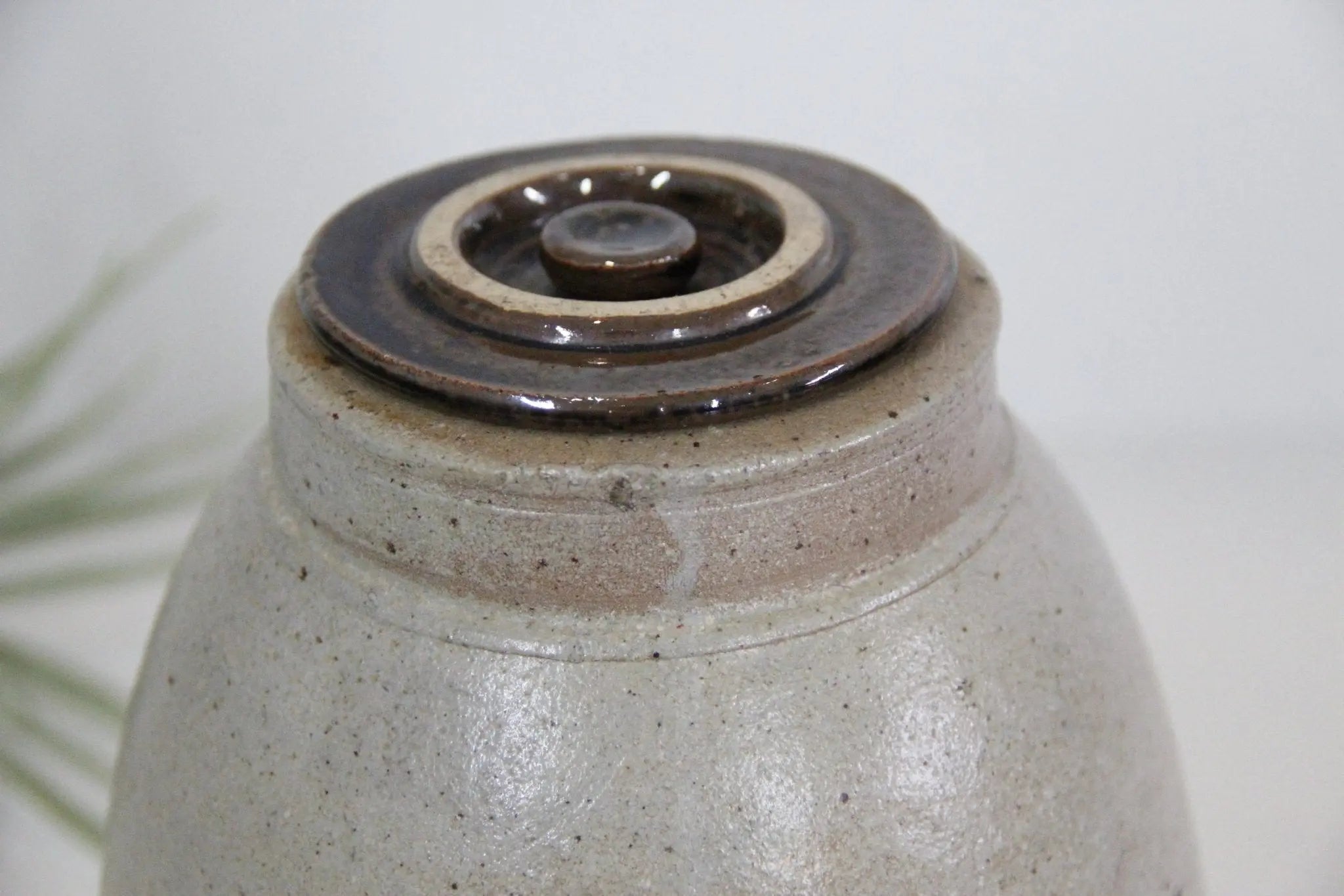 Primitive Salt Glazed Stoneware Crock | Canning Jar  Debra Hall Lifestyle