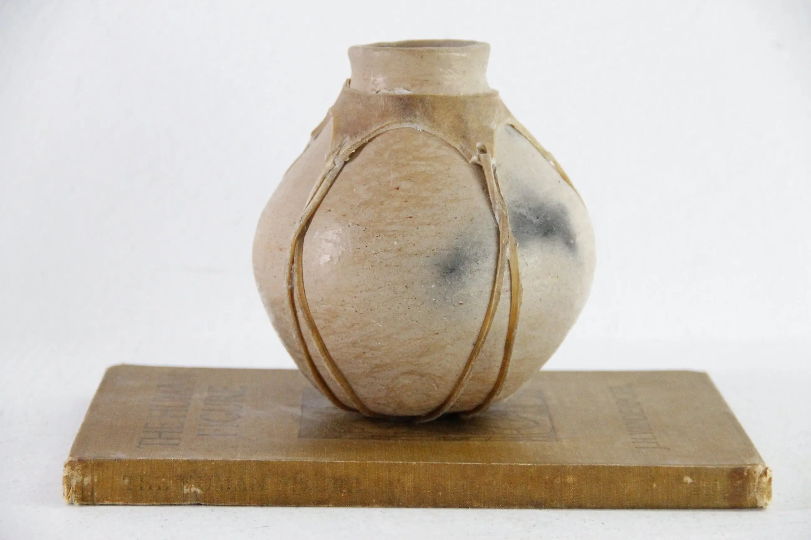Tarahumara Indian Pottery Olla | Small Rawhide Sinew Wrapped Pot Debra Hall Lifestyle