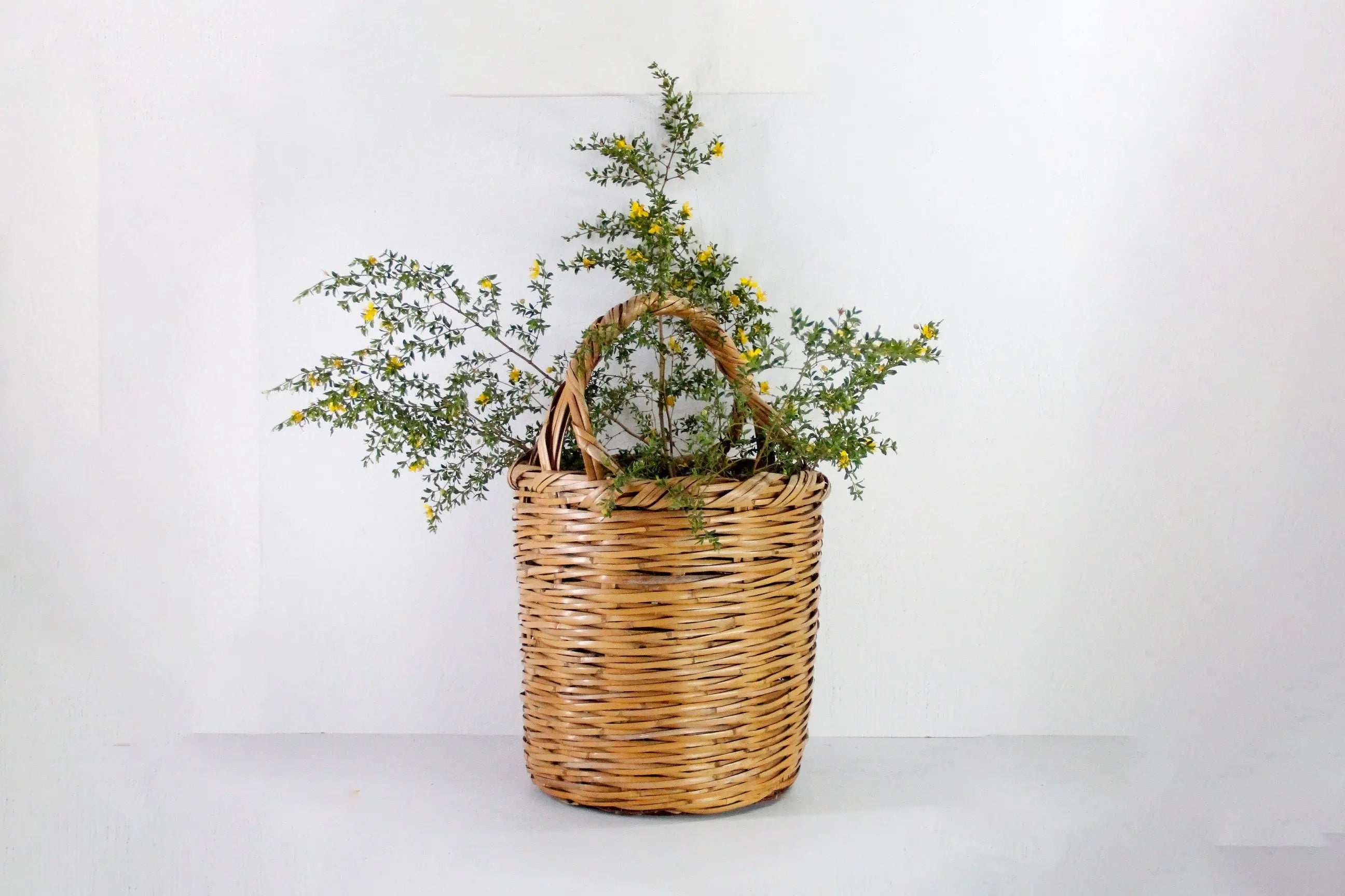 Vintage Basket with Handle | 1970s Large Split Bamboo Cane Debra Hall Lifestyle