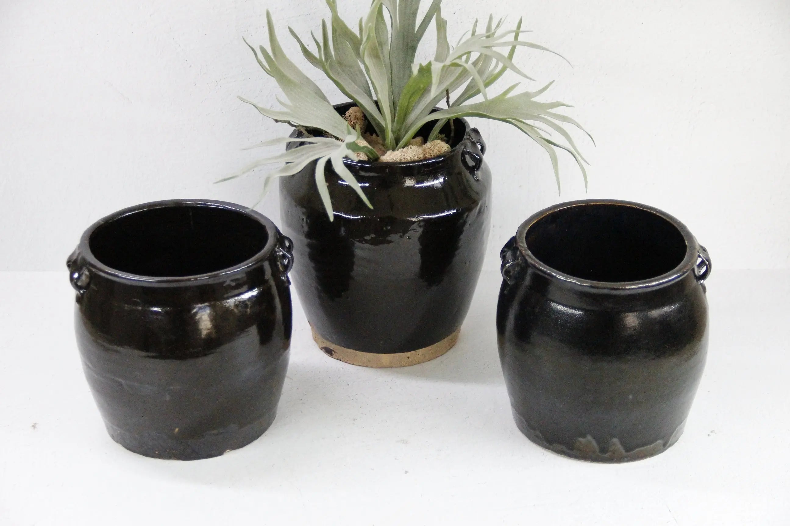 Vintage Black Pottery | Glazed Oil Vessel-Shanxi Pot Debra Hall Lifestyle