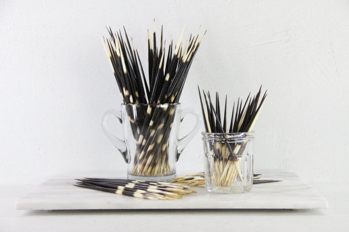 African Porcupine Quills | Authentic Vintage Set of 5 - Debra Hall Lifestyle