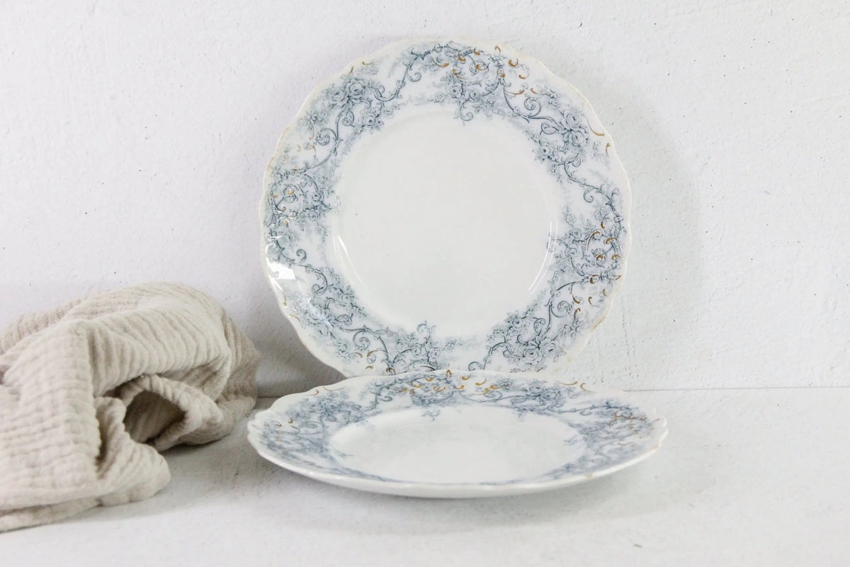 Antique Blue Transferware Plate | Rochester J&G Meakin - Debra Hall Lifestyle