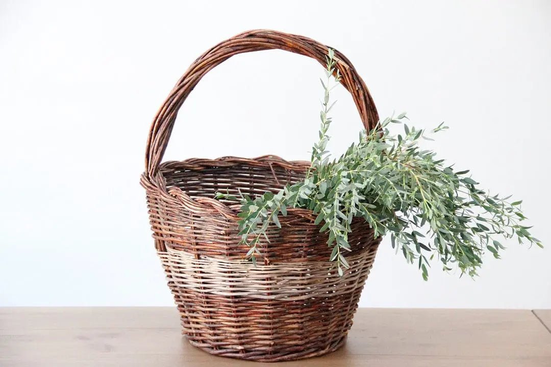 Antique French Basket | Handle Woven Two-Tone Willow - Debra Hall Lifestyle