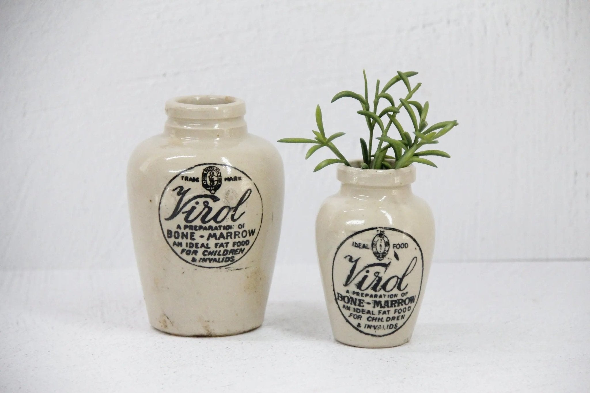 Antique Stoneware Jar | Virol Bone Marrow Pot-Assorted - Debra Hall Lifestyle