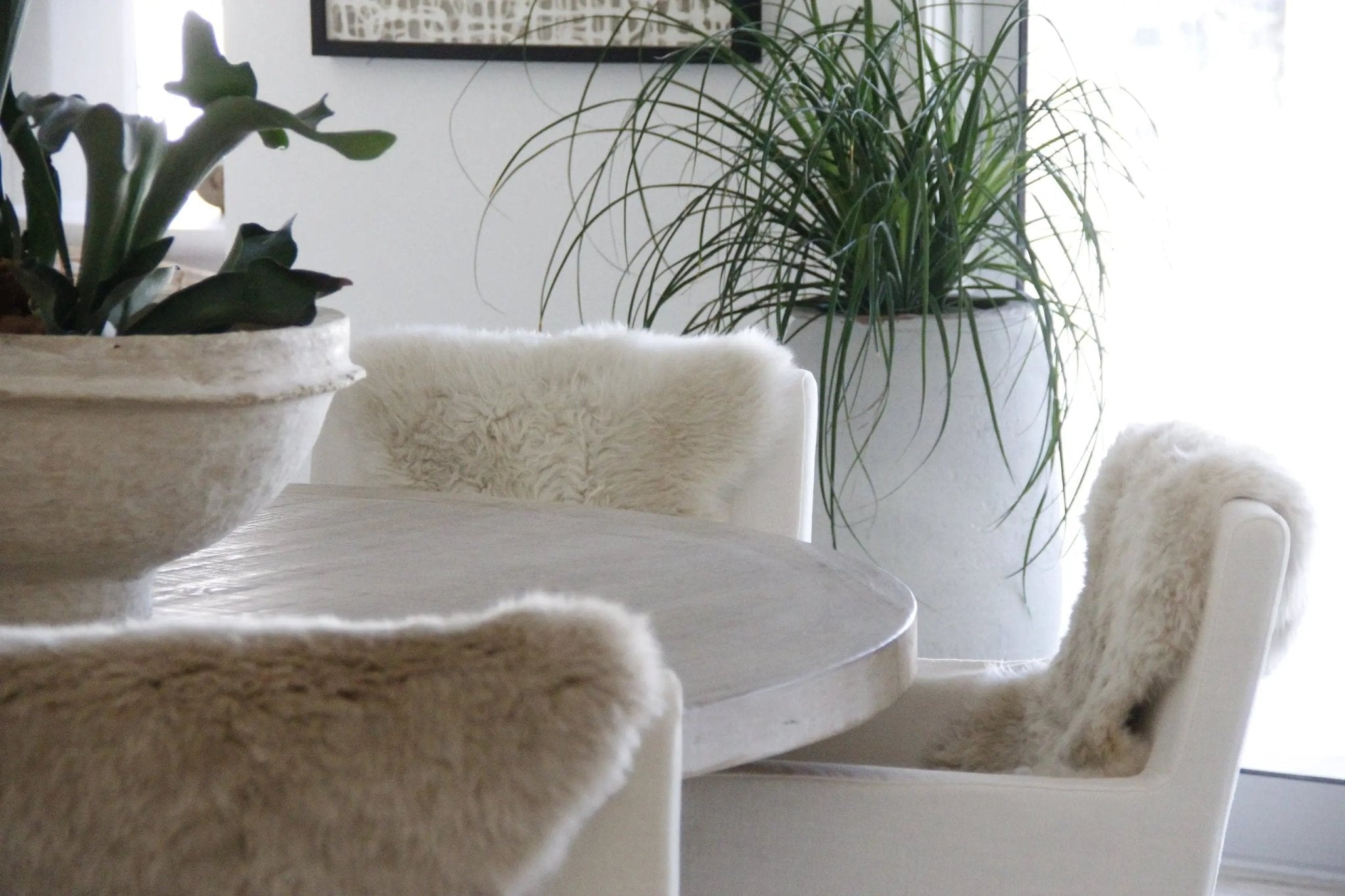 Sheepskin Pelt | Authentic Luxury Throw/Rug-Assorted - Debra Hall Lifestyle