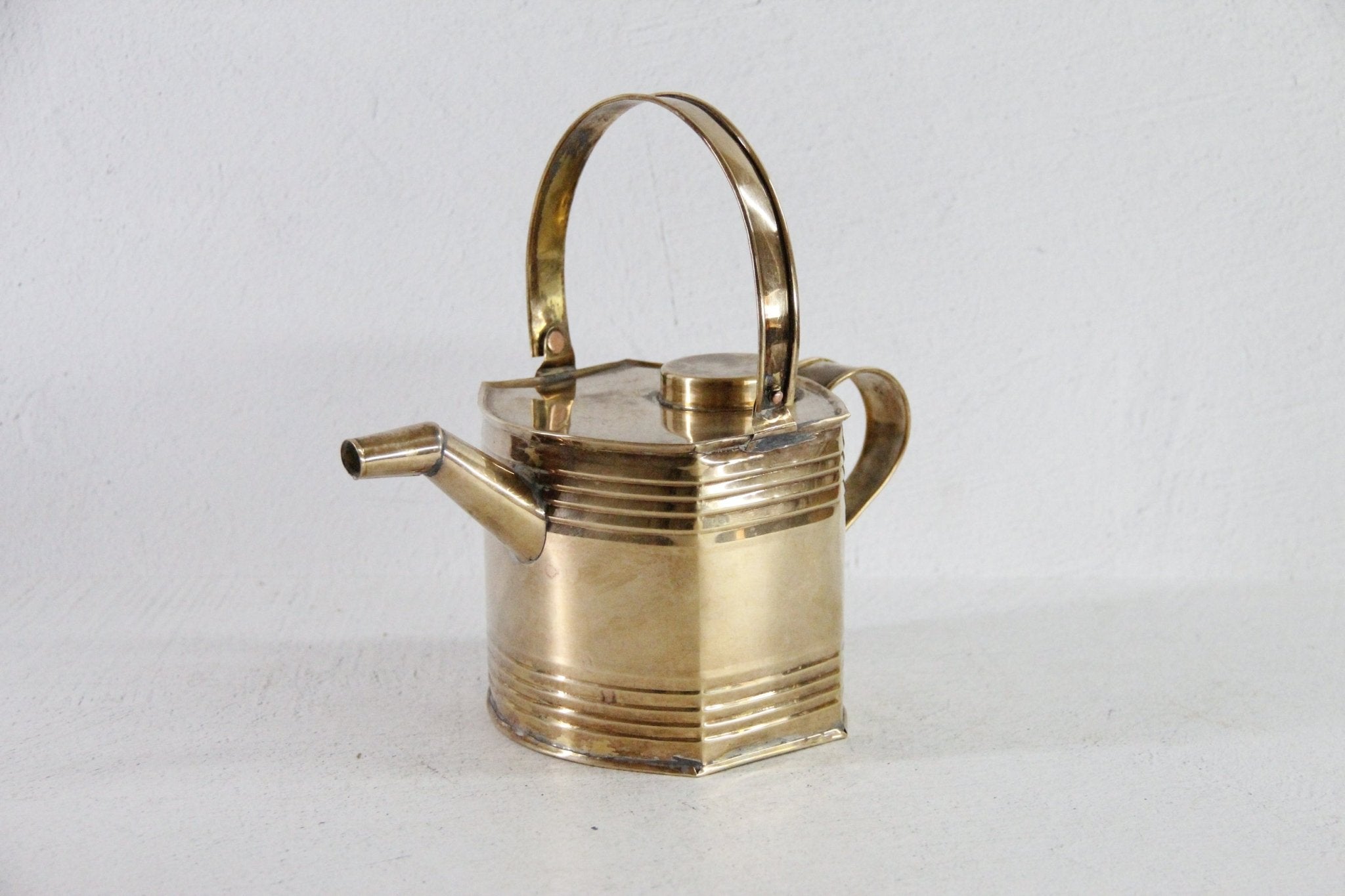 Vintage Brass Watering Can | Decorative for Small Plant - Debra Hall Lifestyle