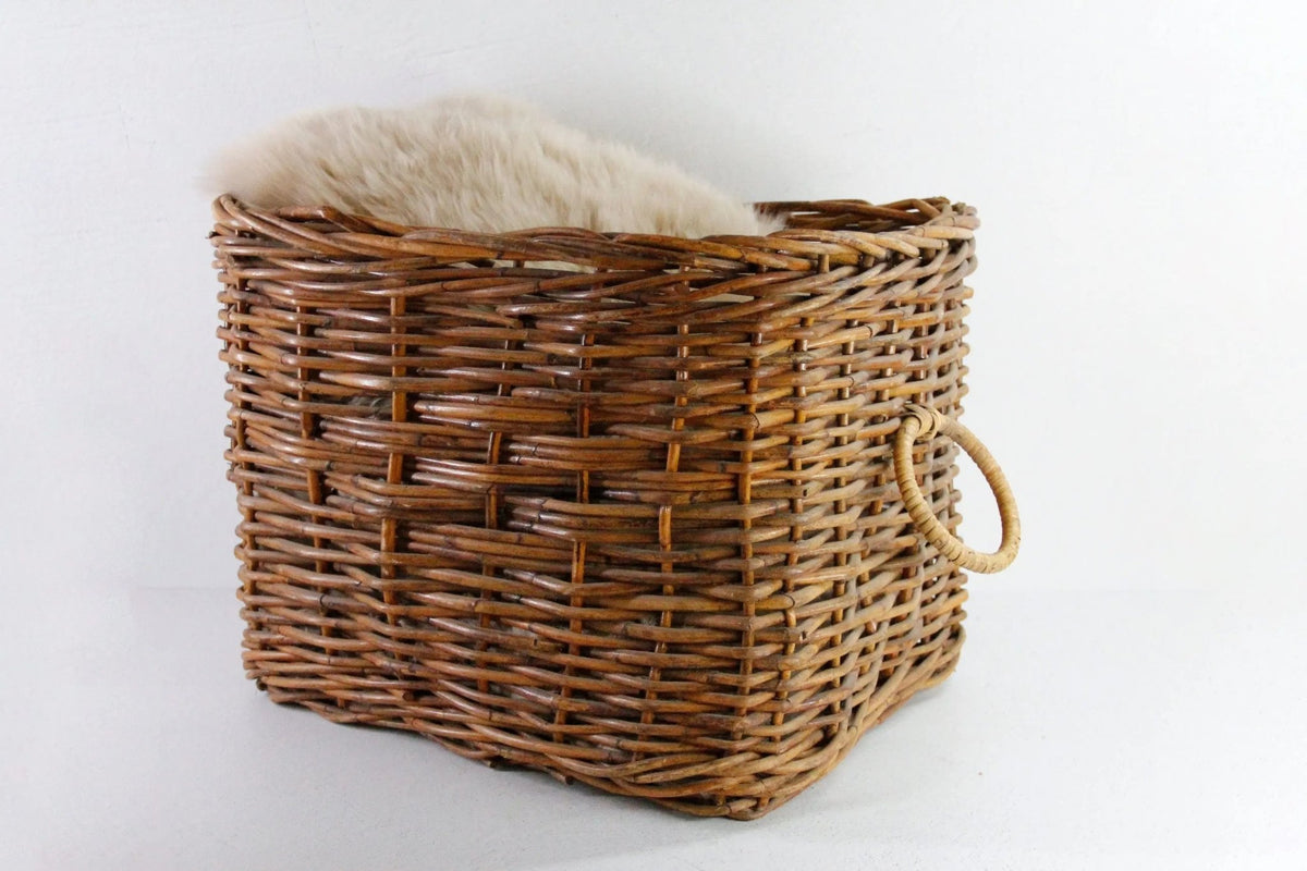 Vintage Wicker Basket with Handles | Floor Storage/Planter - Debra Hall Lifestyle
