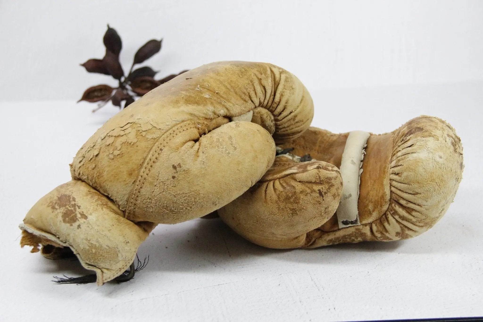 Antique Boxing Gloves | Horse Hair and Leather  Debra Hall Lifestyle