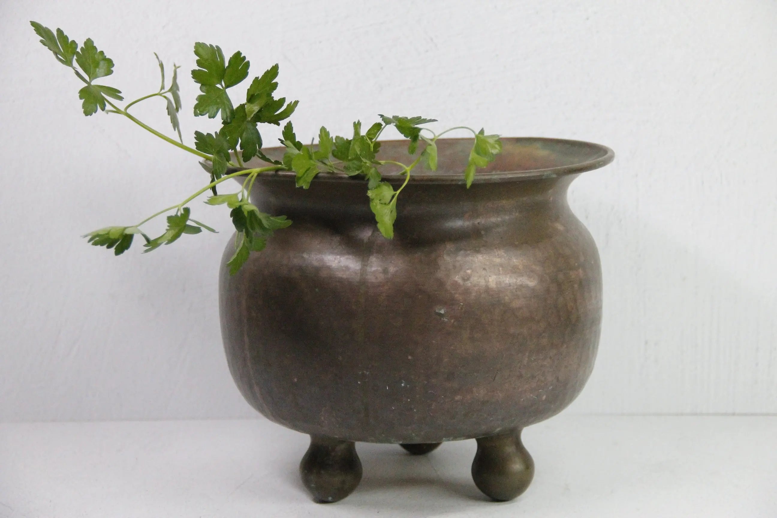 Antique Brass Planter | Large foot Hand Hammered Pot  Debra Hall Lifestyle