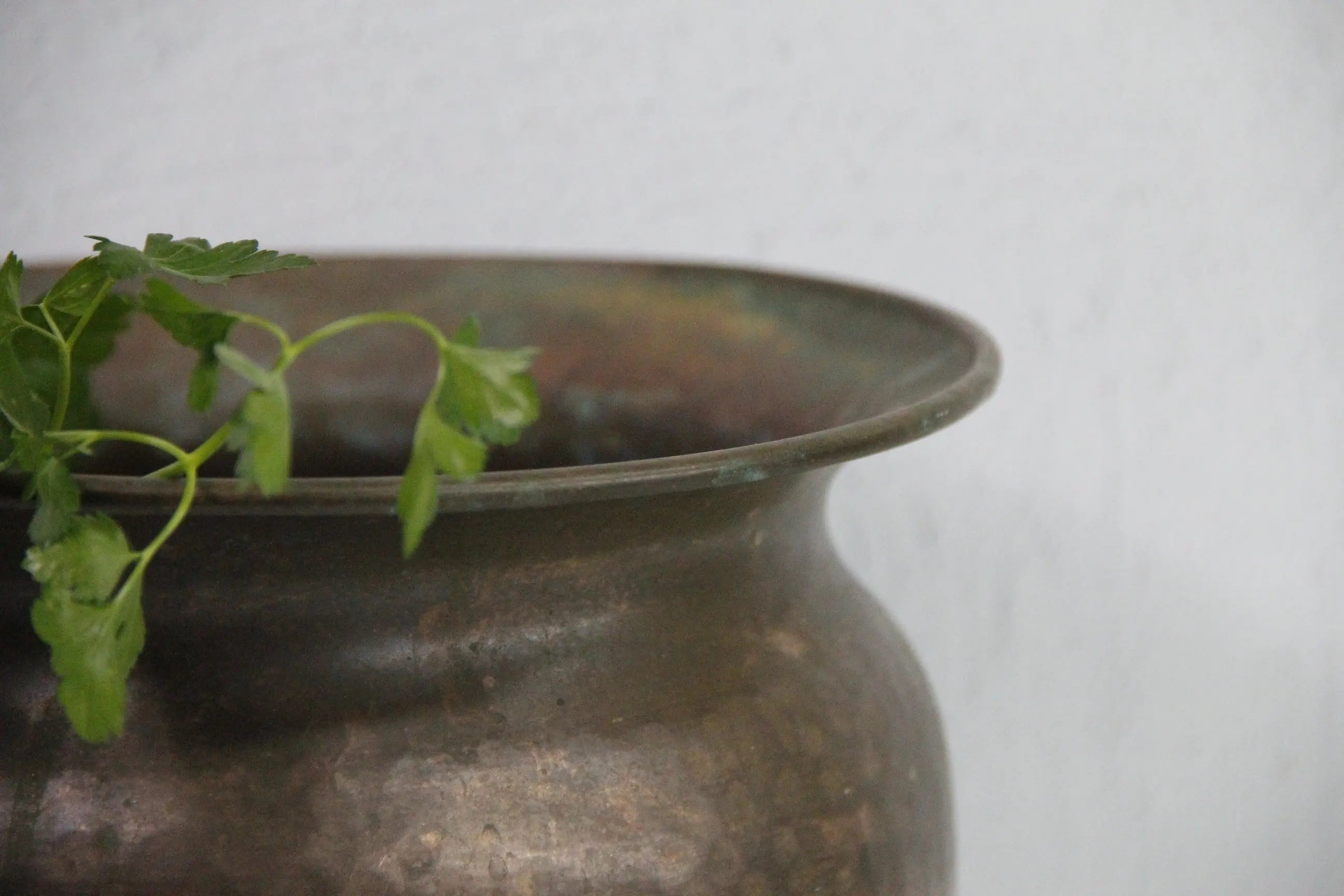 Antique Brass Planter | Large foot Hand Hammered Pot  Debra Hall Lifestyle