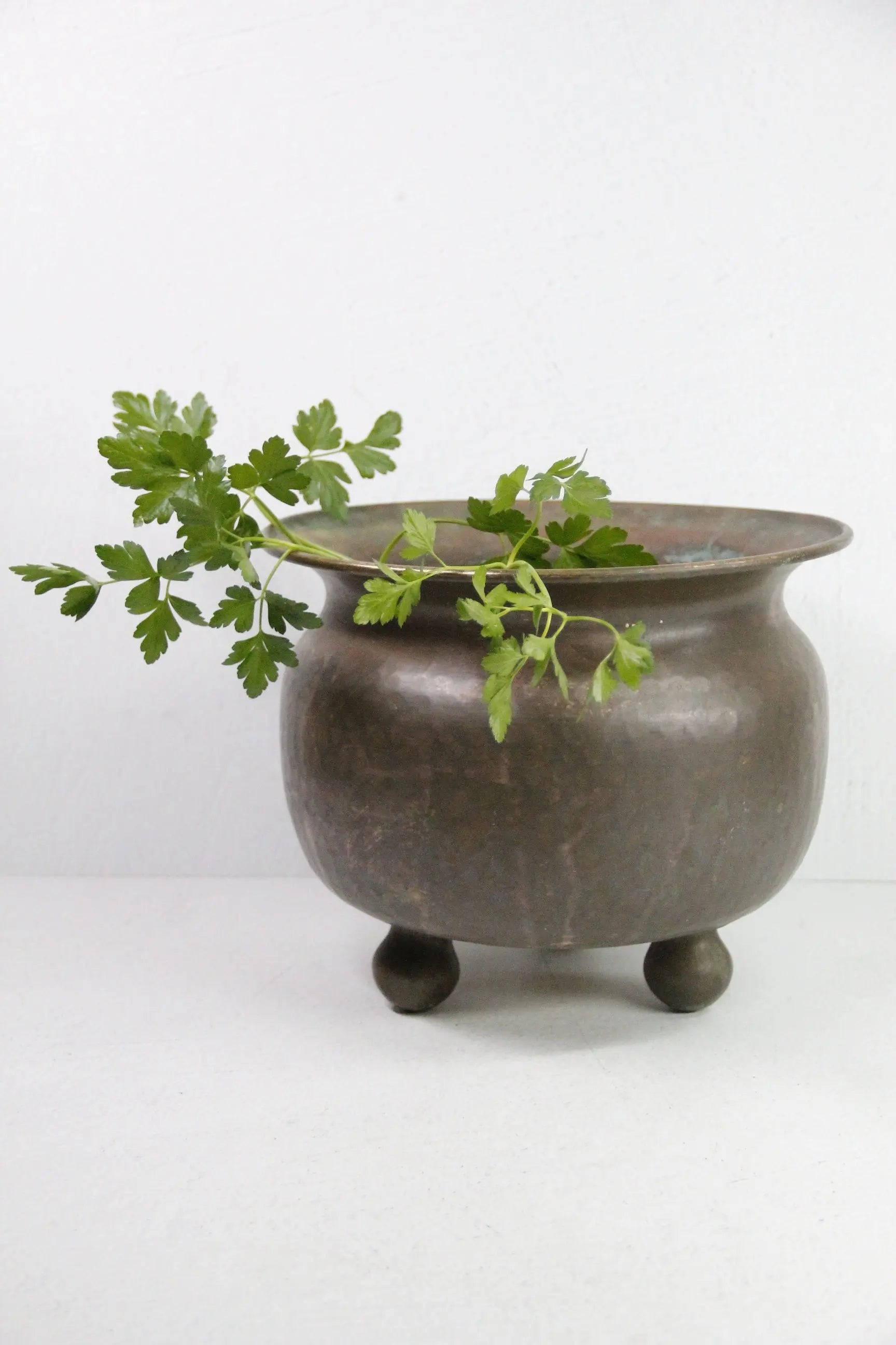 Antique Brass Planter | Large foot Hand Hammered Pot  Debra Hall Lifestyle