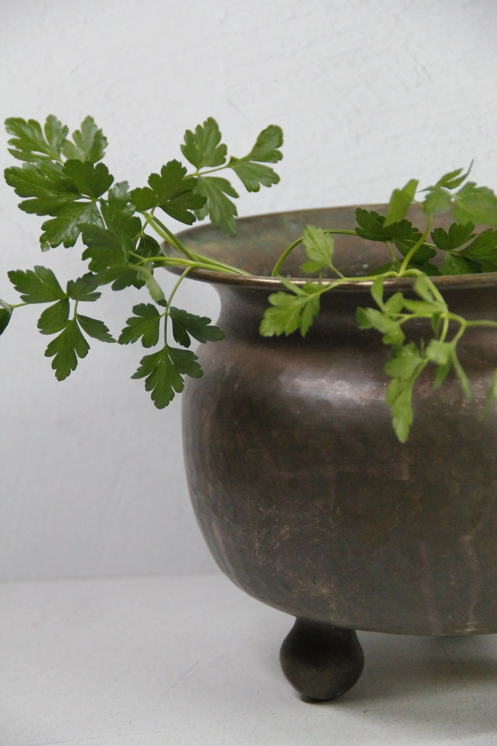 Antique Brass Planter | Large foot Hand Hammered Pot  Debra Hall Lifestyle