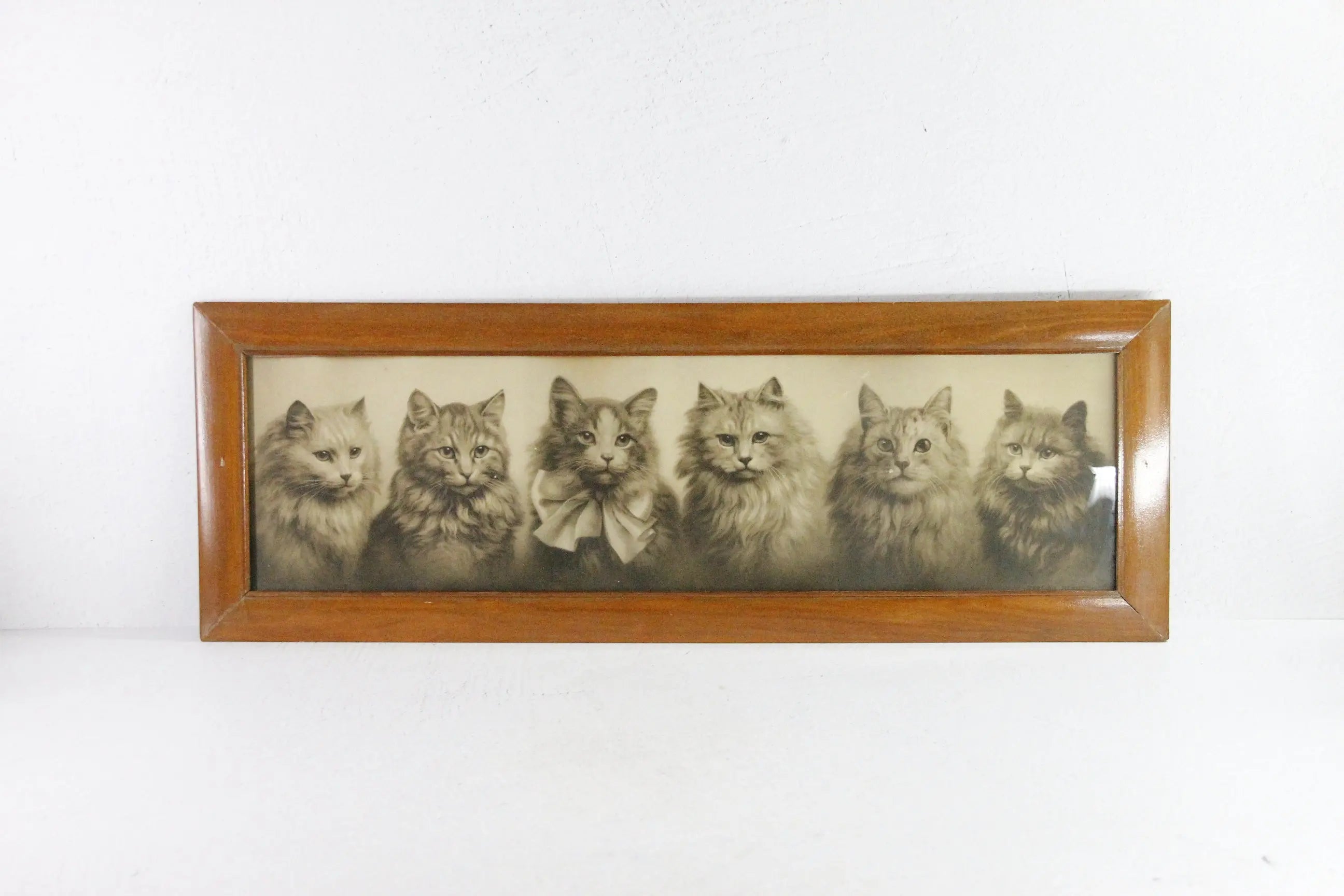 Antique Framed Print Yard Long Persian Kittens 1914 Haskell