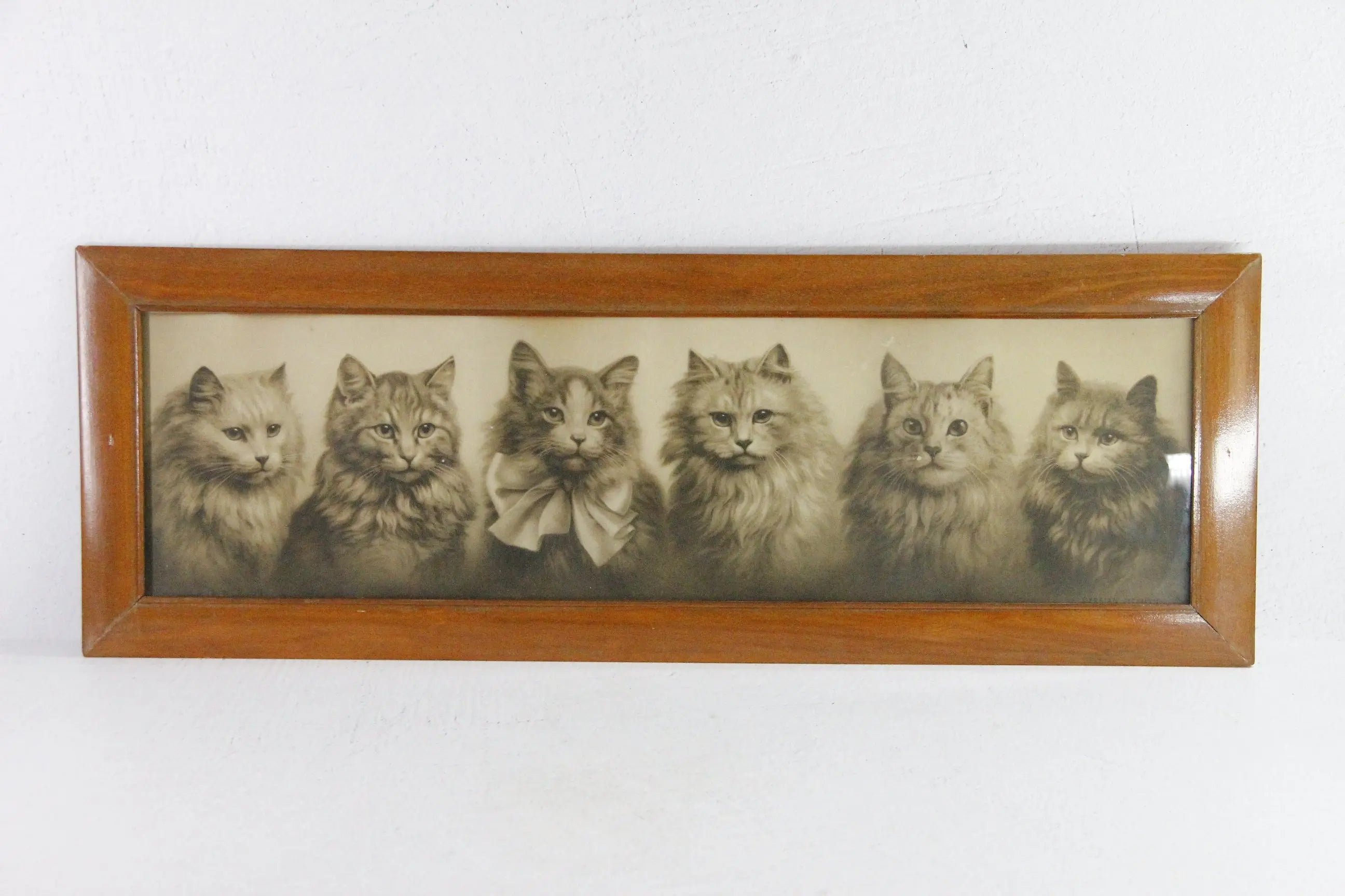 Antique Framed Print Yard Long Persian Kittens 1914 Haskell