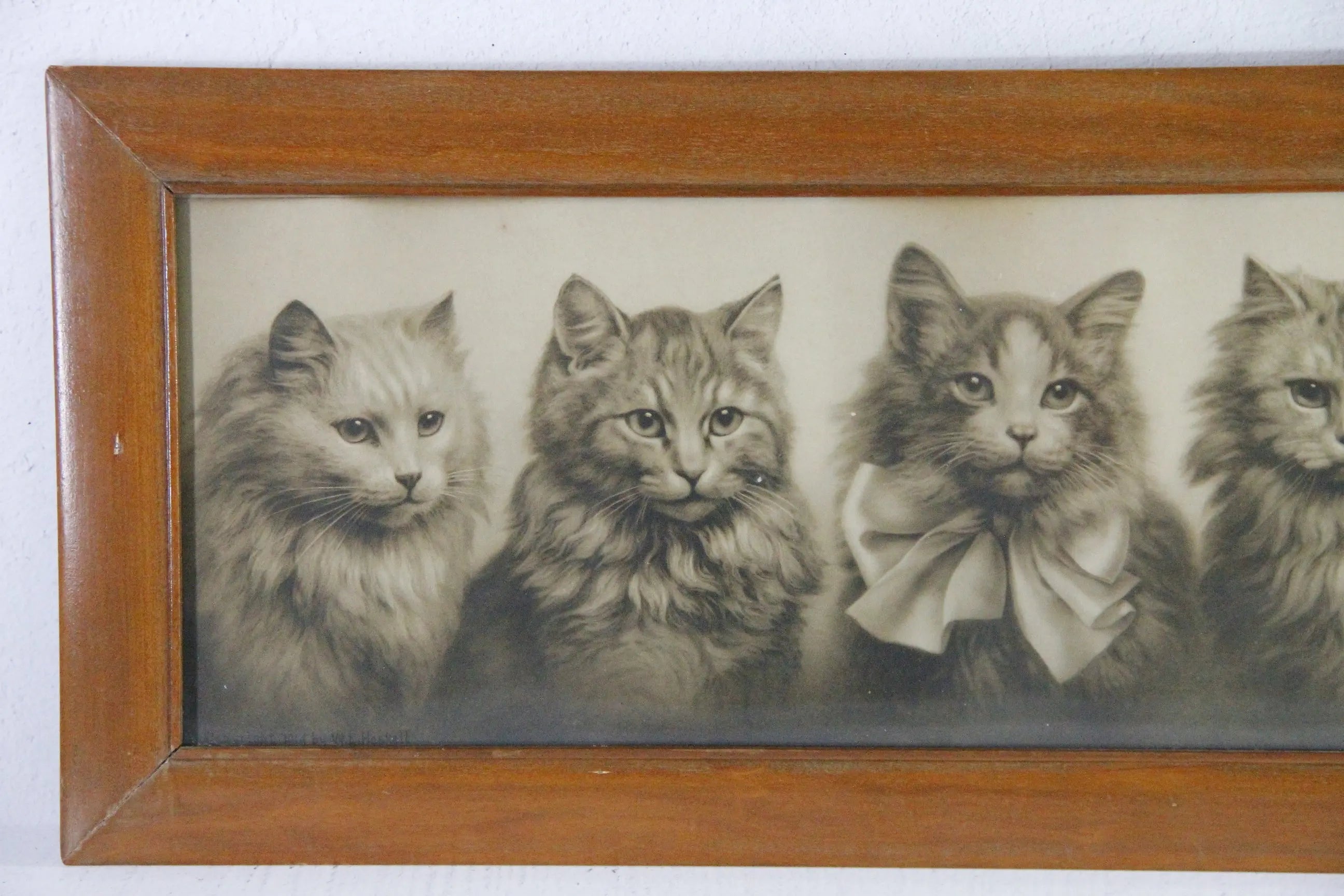 Antique Framed Print Yard Long Persian Kittens 1914 Haskell