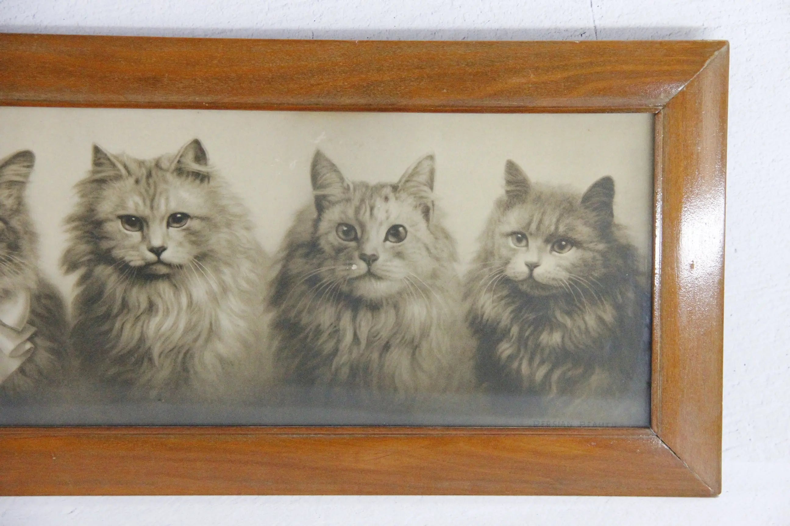 Antique Framed Print Yard Long Persian Kittens 1914 Haskell