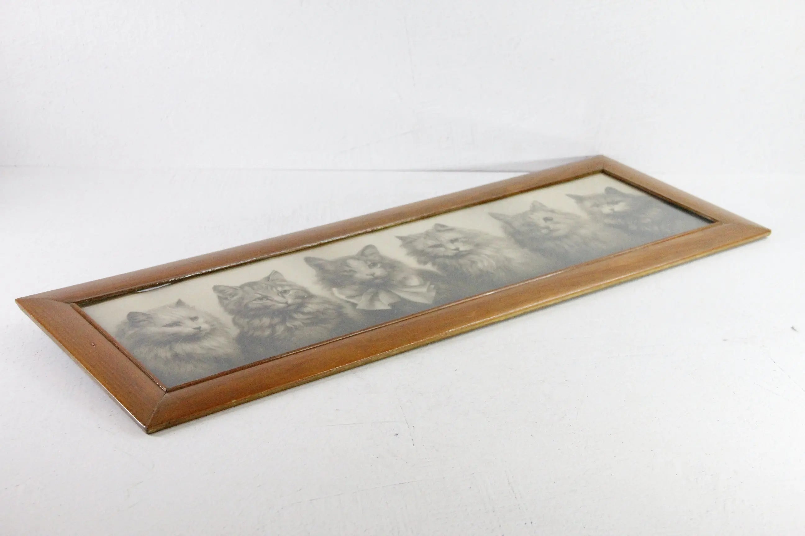 Antique Framed Print Yard Long Persian Kittens 1914 Haskell