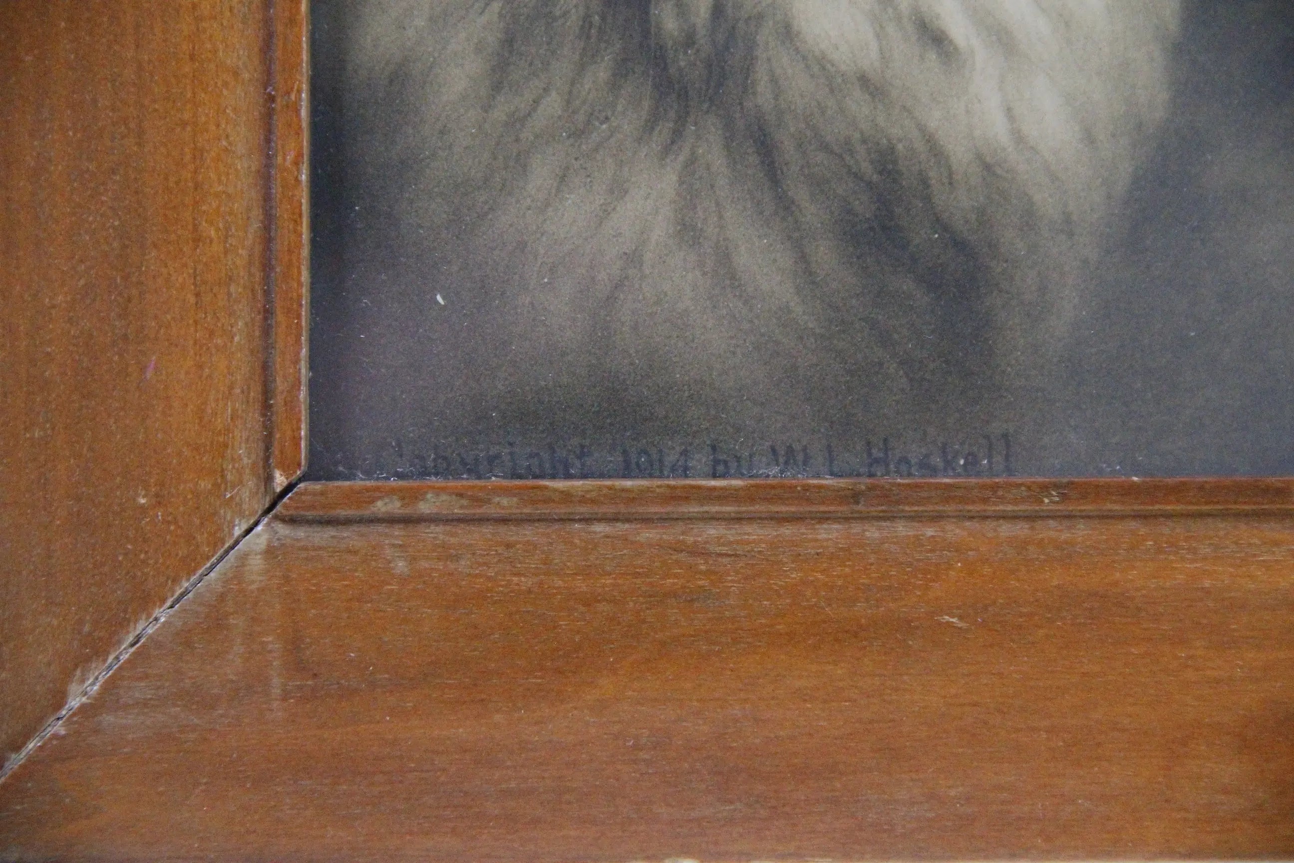 Antique Framed Print Yard Long Persian Kittens 1914 Haskell