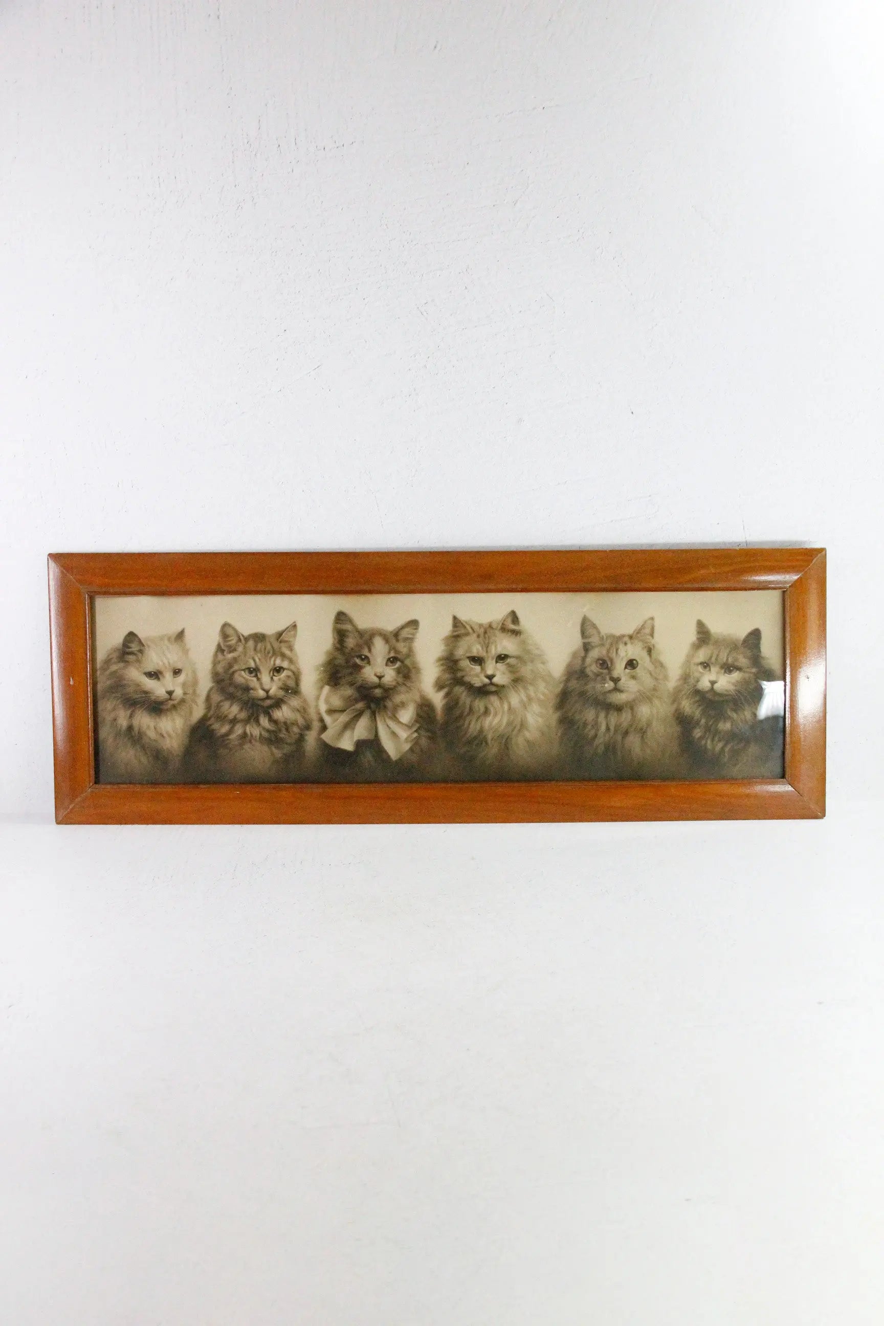 Antique Framed Print Yard Long Persian Kittens 1914 Haskell