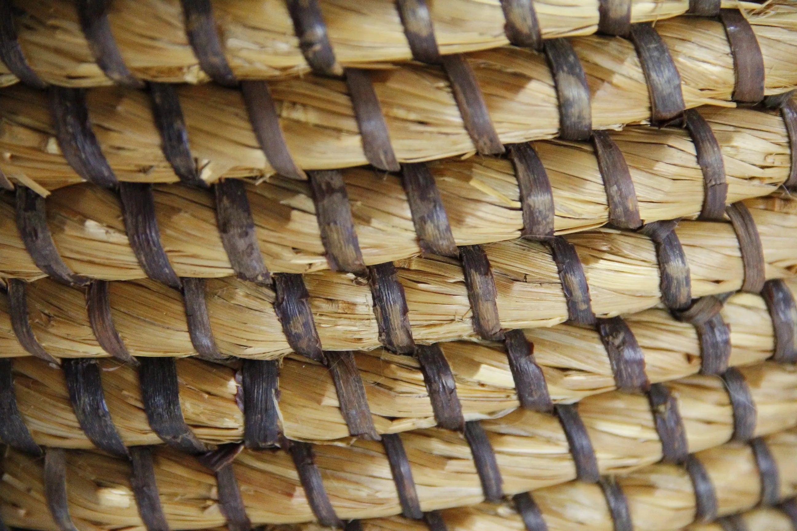 Antique French Basket | Tall Hand Coiled Rye Grain Basket  Debra Hall Lifestyle