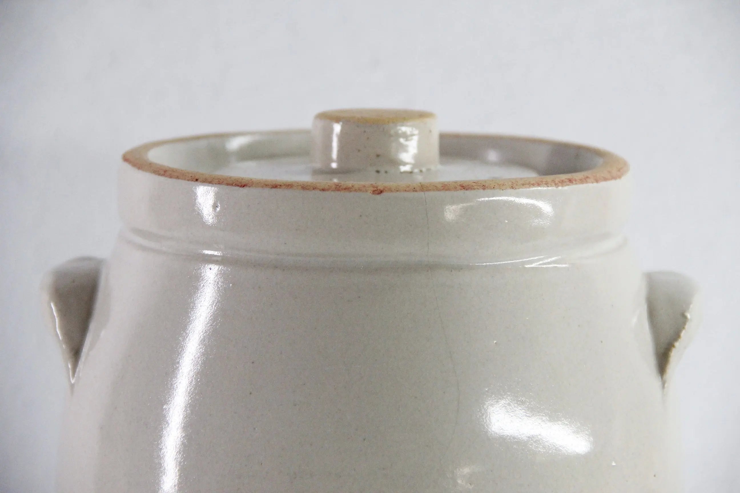 Antique Stoneware Crock Cookie Jar With Lid | Light Beige  Debra Hall Lifestyle