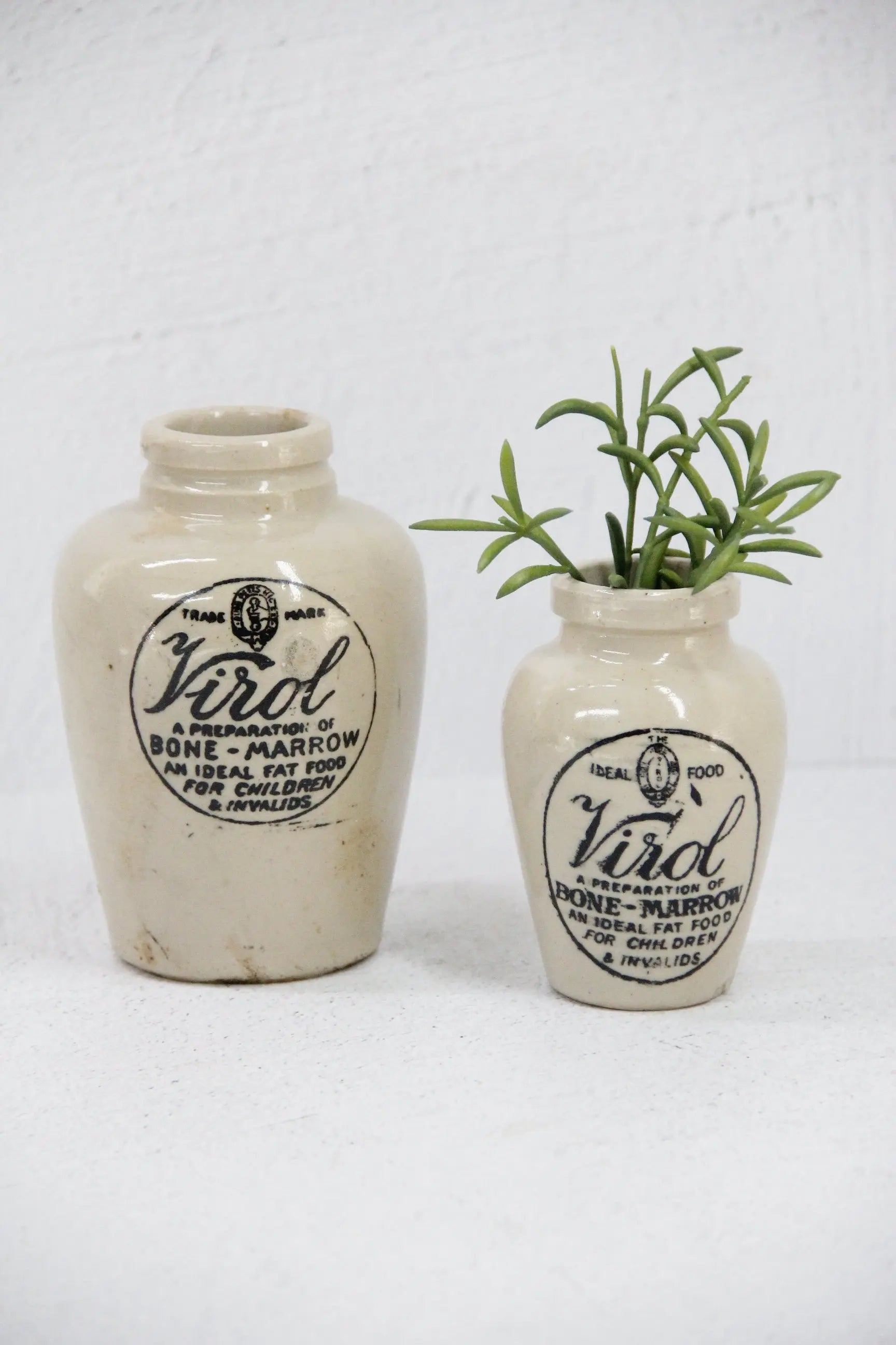 Antique Stoneware Jar | Virol Bone Marrow Pot-Assorted – Debra