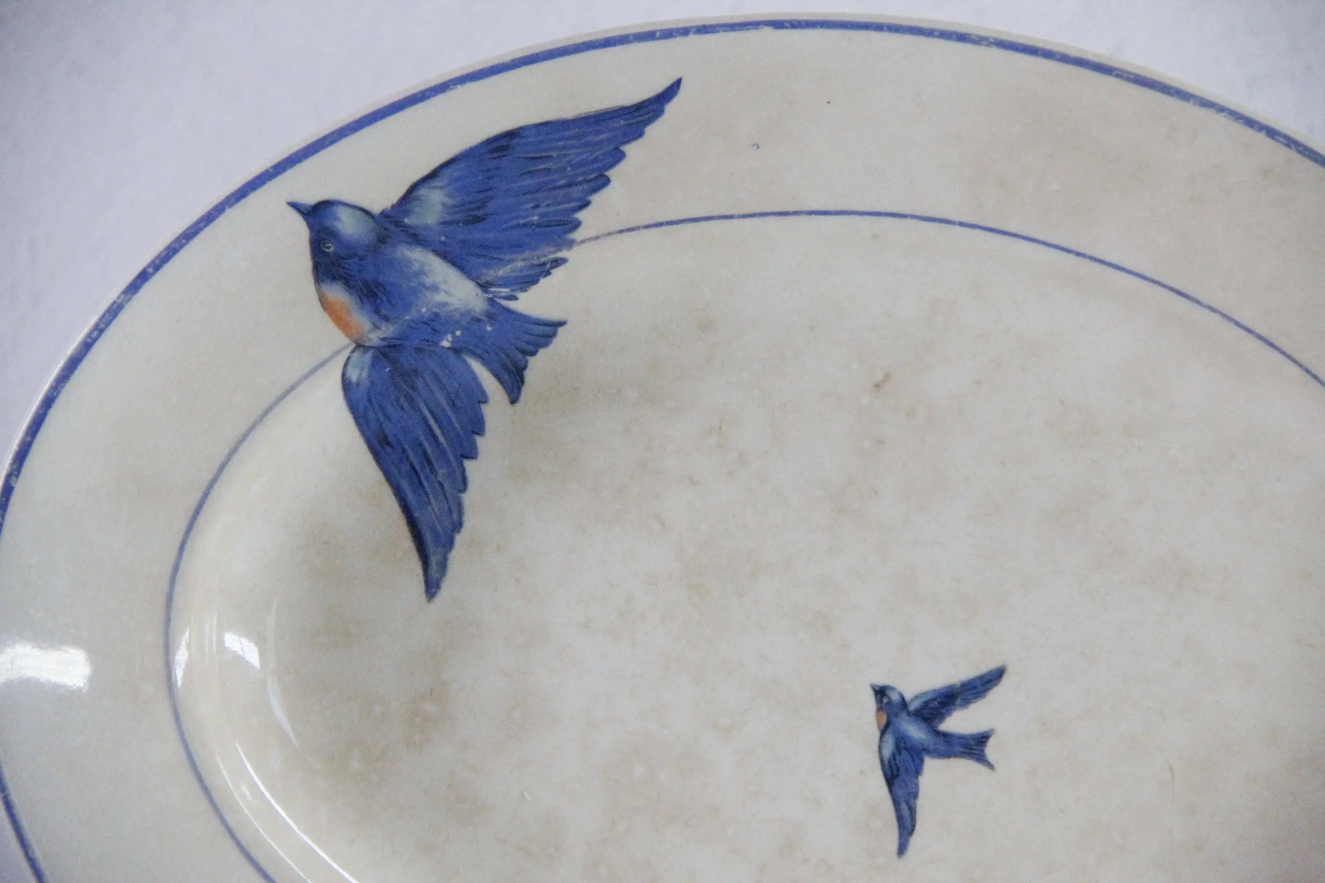 Vintage Bluebird Plate Antique Ironstone Platter 11.5"