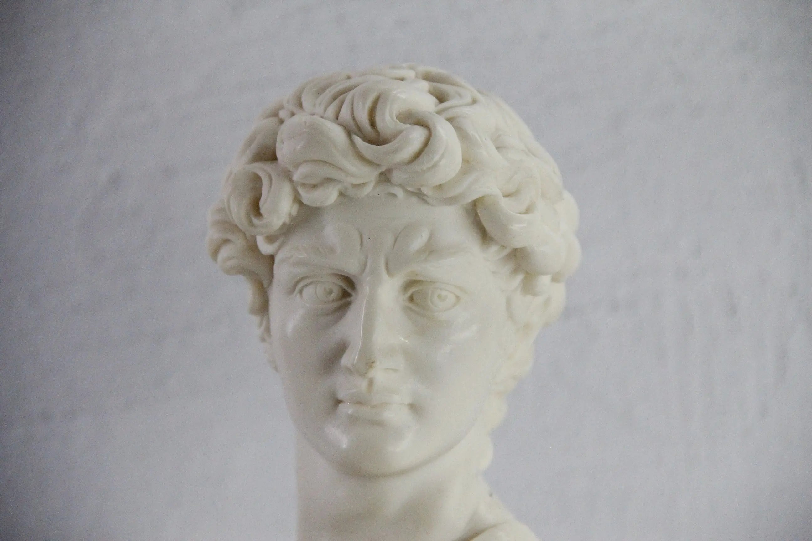 David Bust Sculpture Vintage | Italian Marble Base Signed  Debra Hall Lifestyle