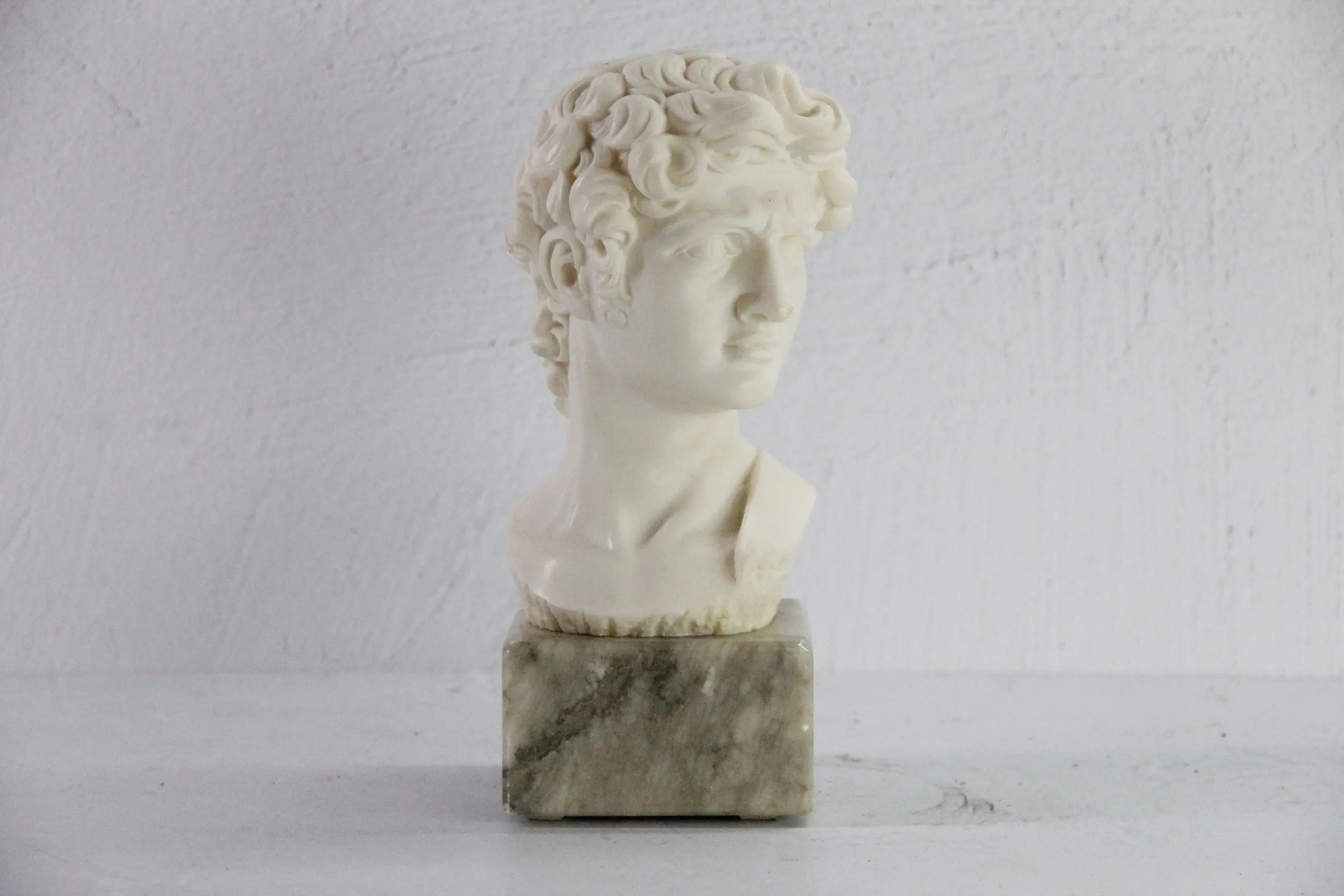 David Bust Sculpture Vintage | Italian Marble Base Signed  Debra Hall Lifestyle