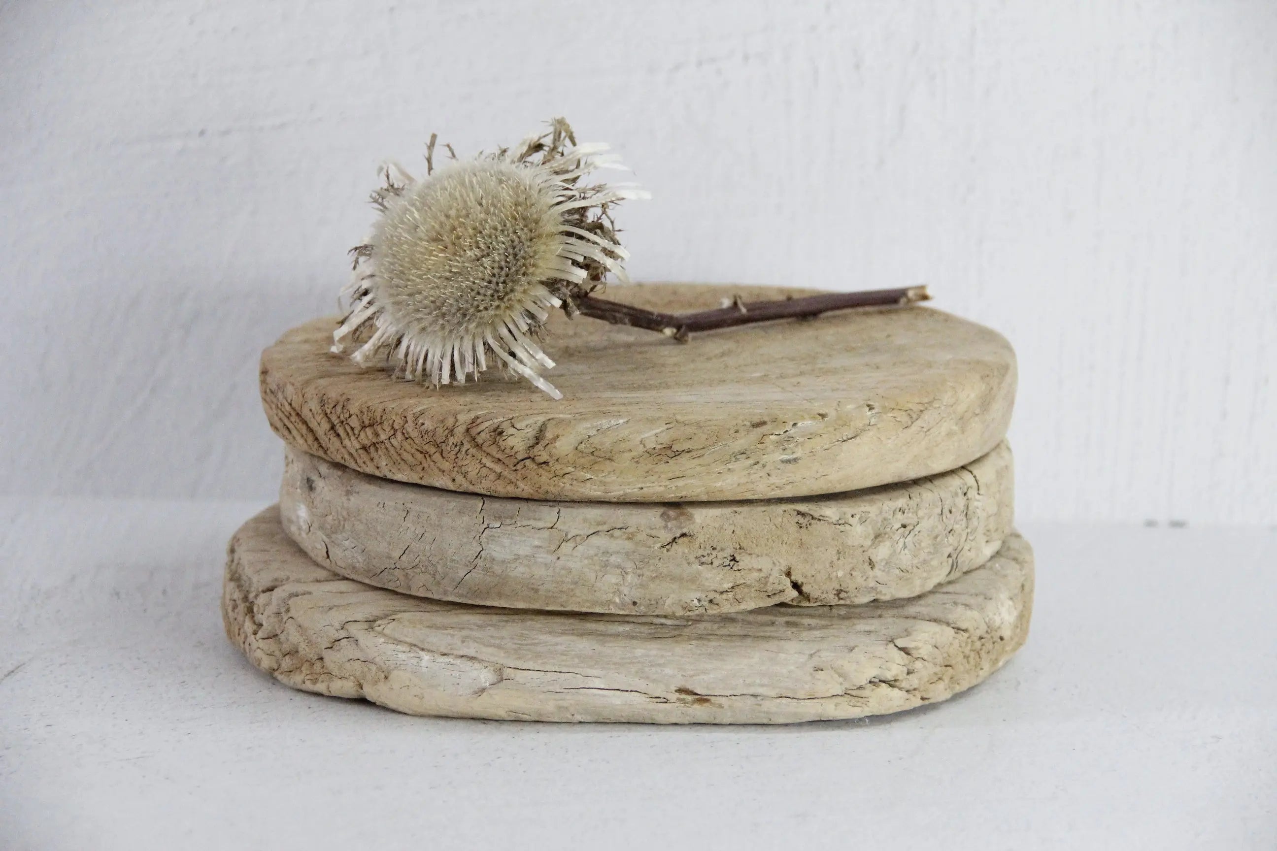 Flat Circle Boards  Debra Hall Lifestyle