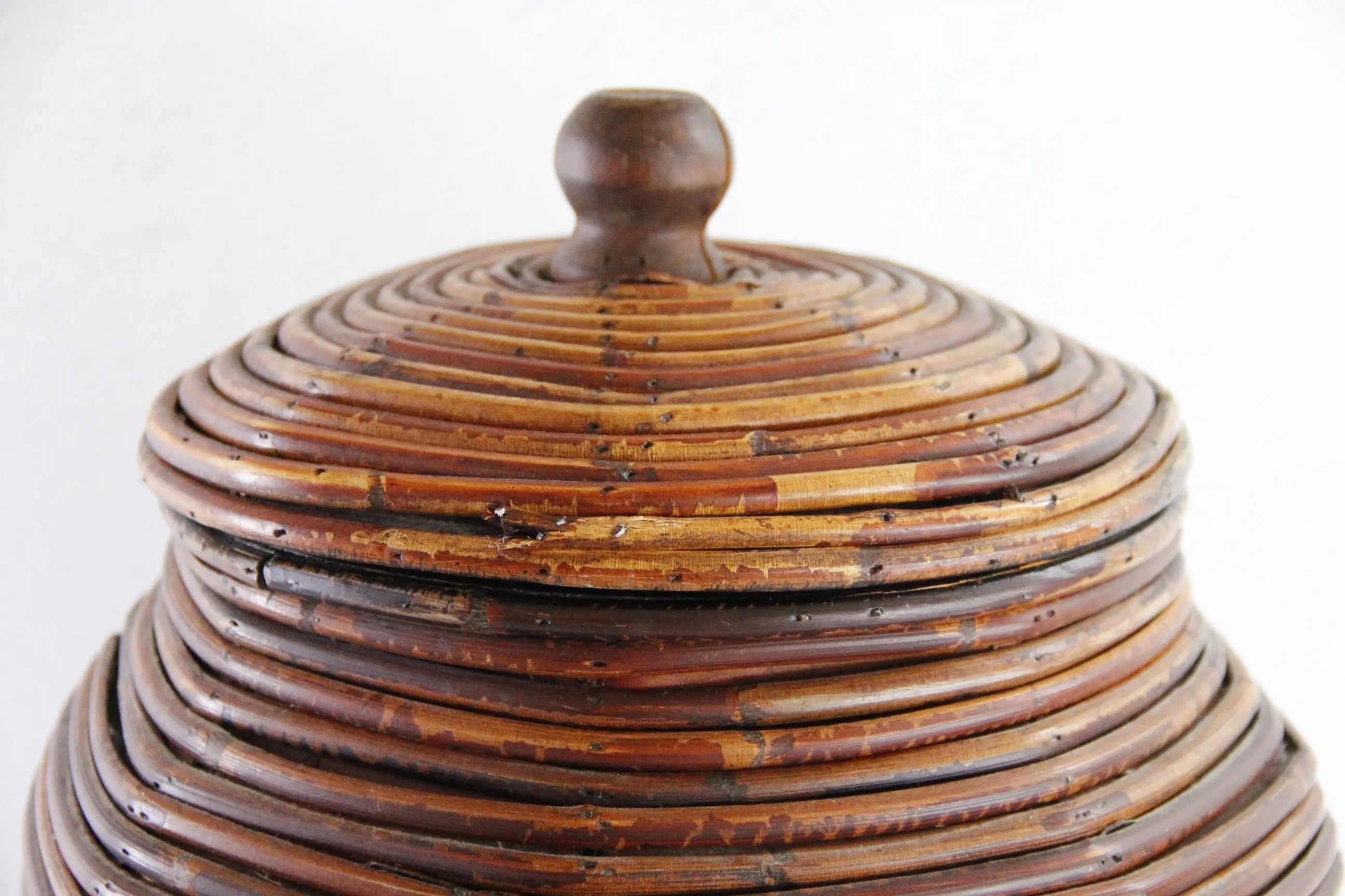 Gabriella Crespi Style Pencil Reed Lidded Basket | Round Storage  Debra Hall Lifestyle