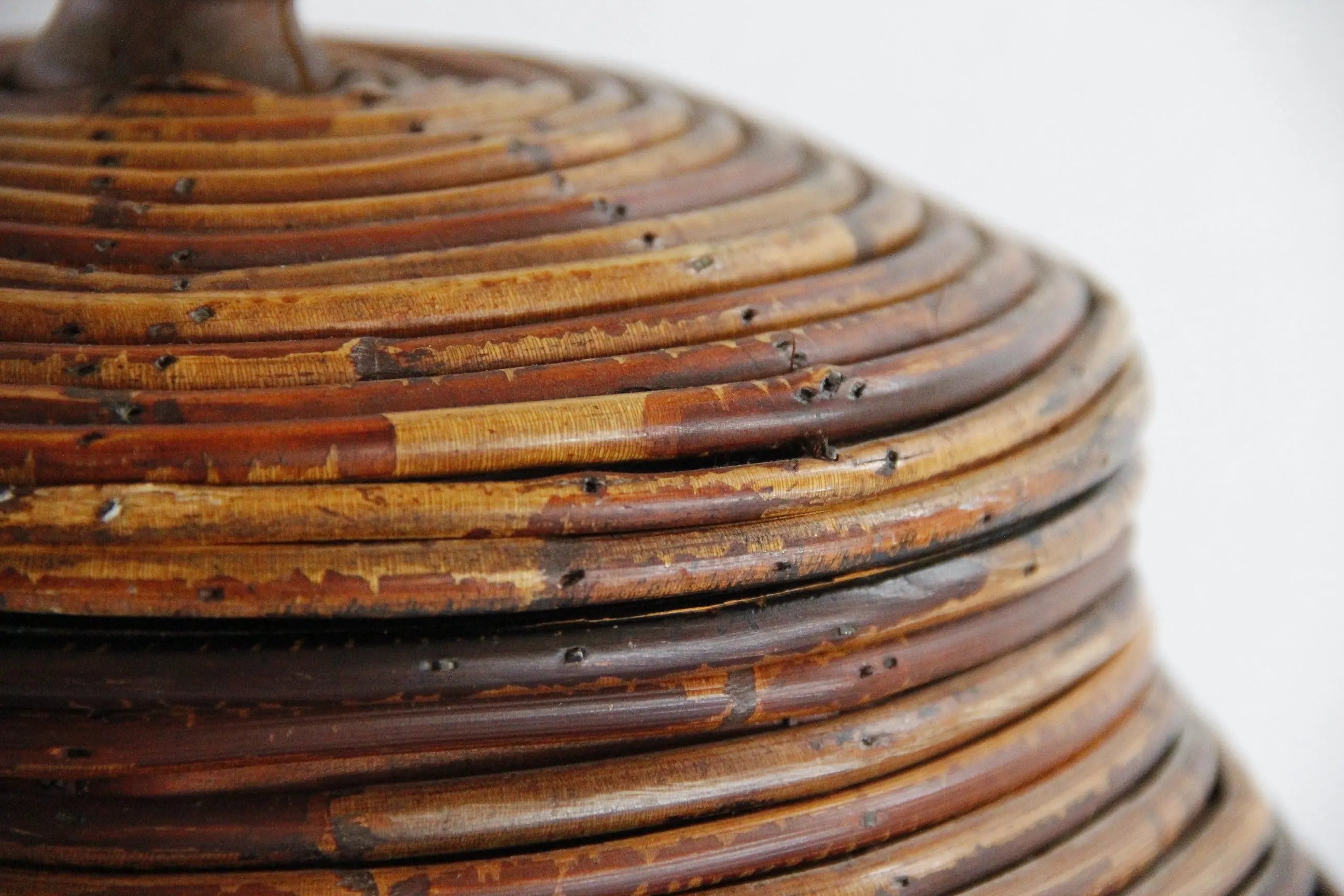Gabriella Crespi Style Pencil Reed Lidded Basket | Round Storage  Debra Hall Lifestyle