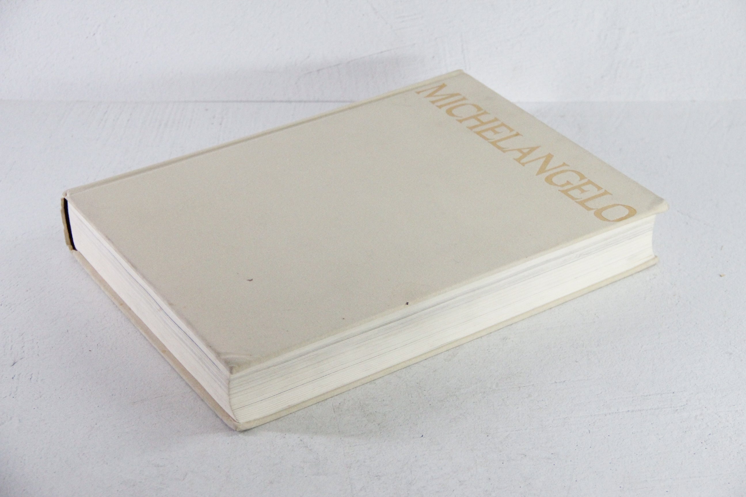 Michelangelo Book | The Complete Works of Michelangelo 1960s