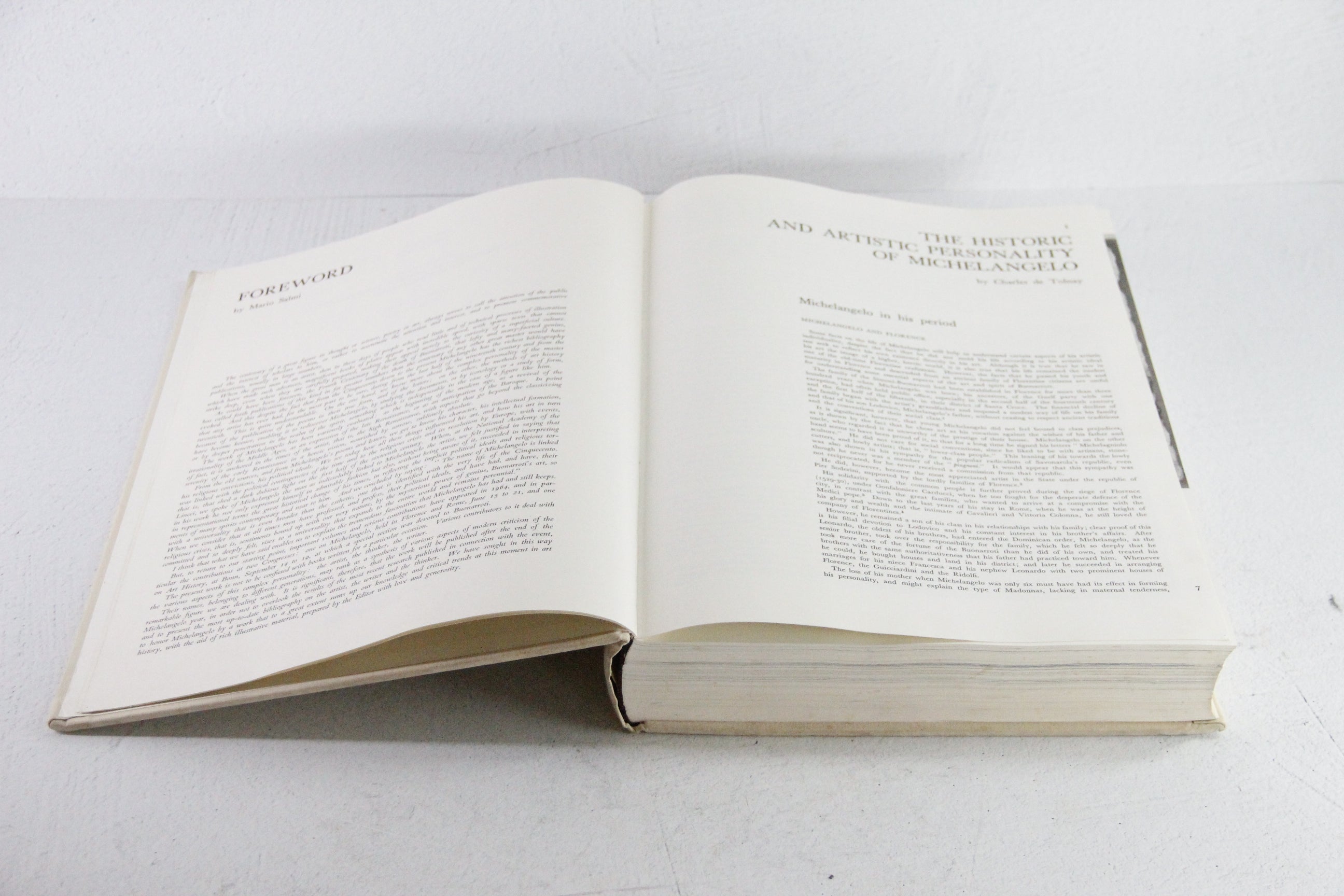 Michelangelo Book | The Complete Works of Michelangelo 1960s