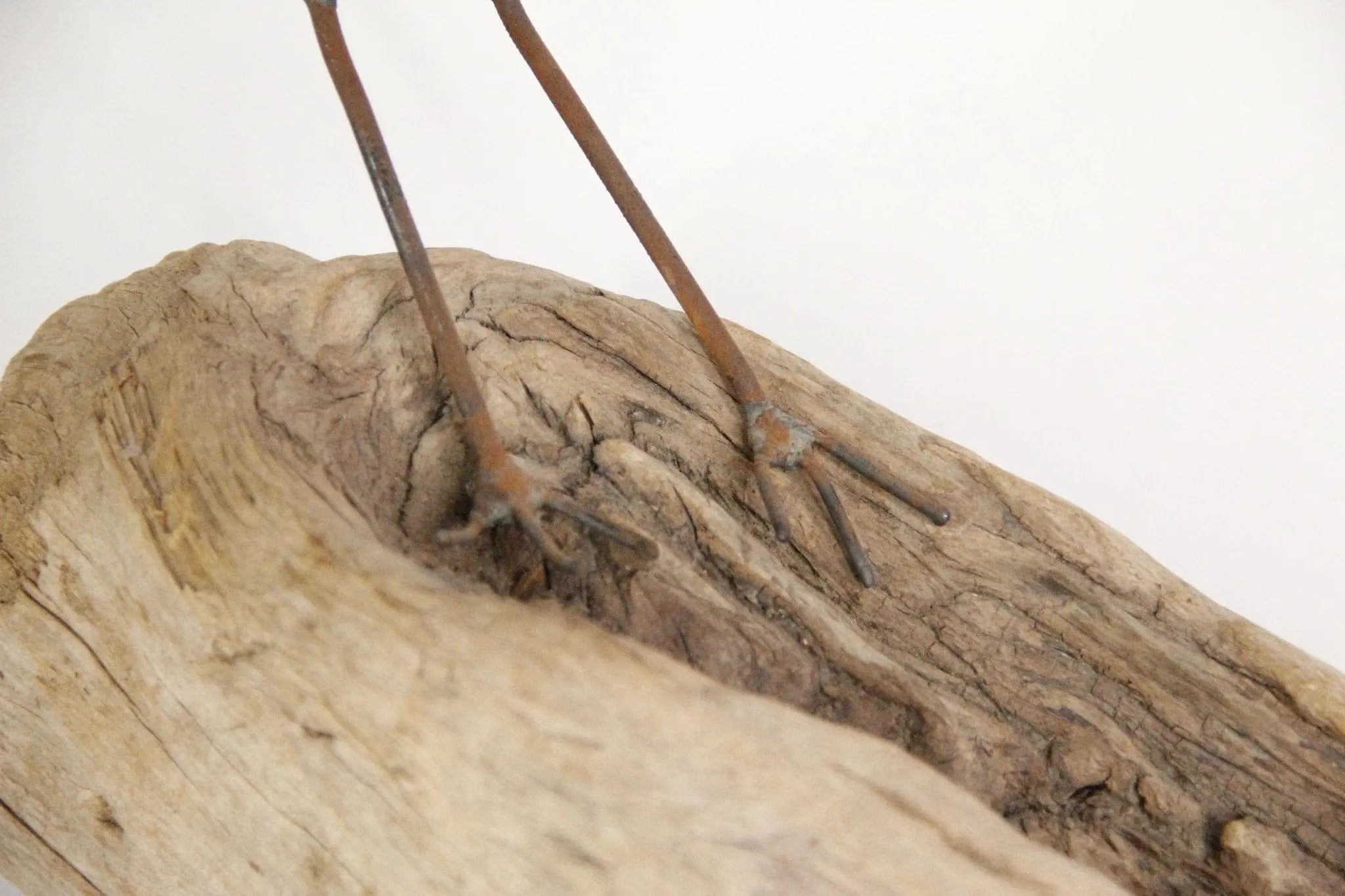 Midcentury Shorebird on Driftwood Sculpture  | Signed Ellis  Debra Hall Lifestyle