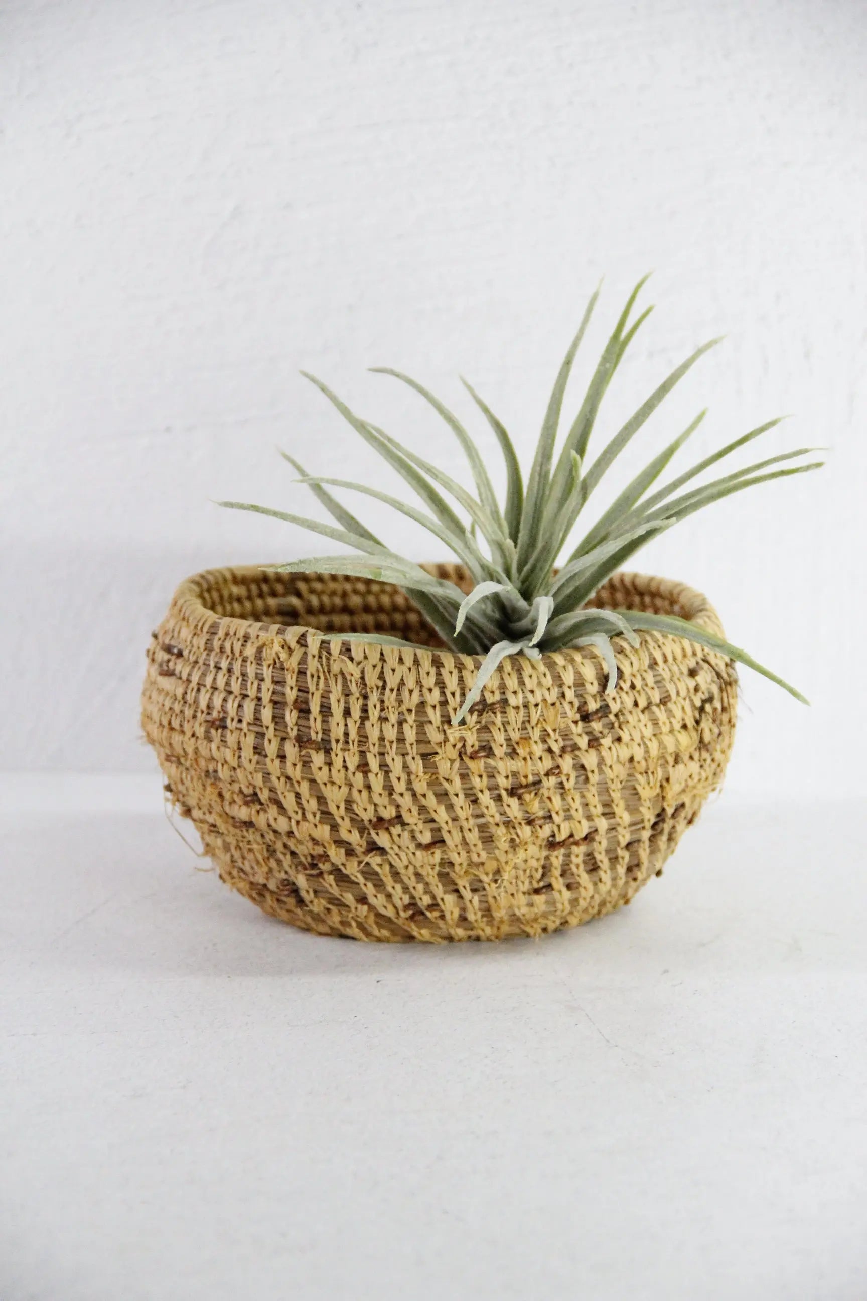 Native American Pine Needle Basket | Small Early 1900s  Debra Hall Lifestyle