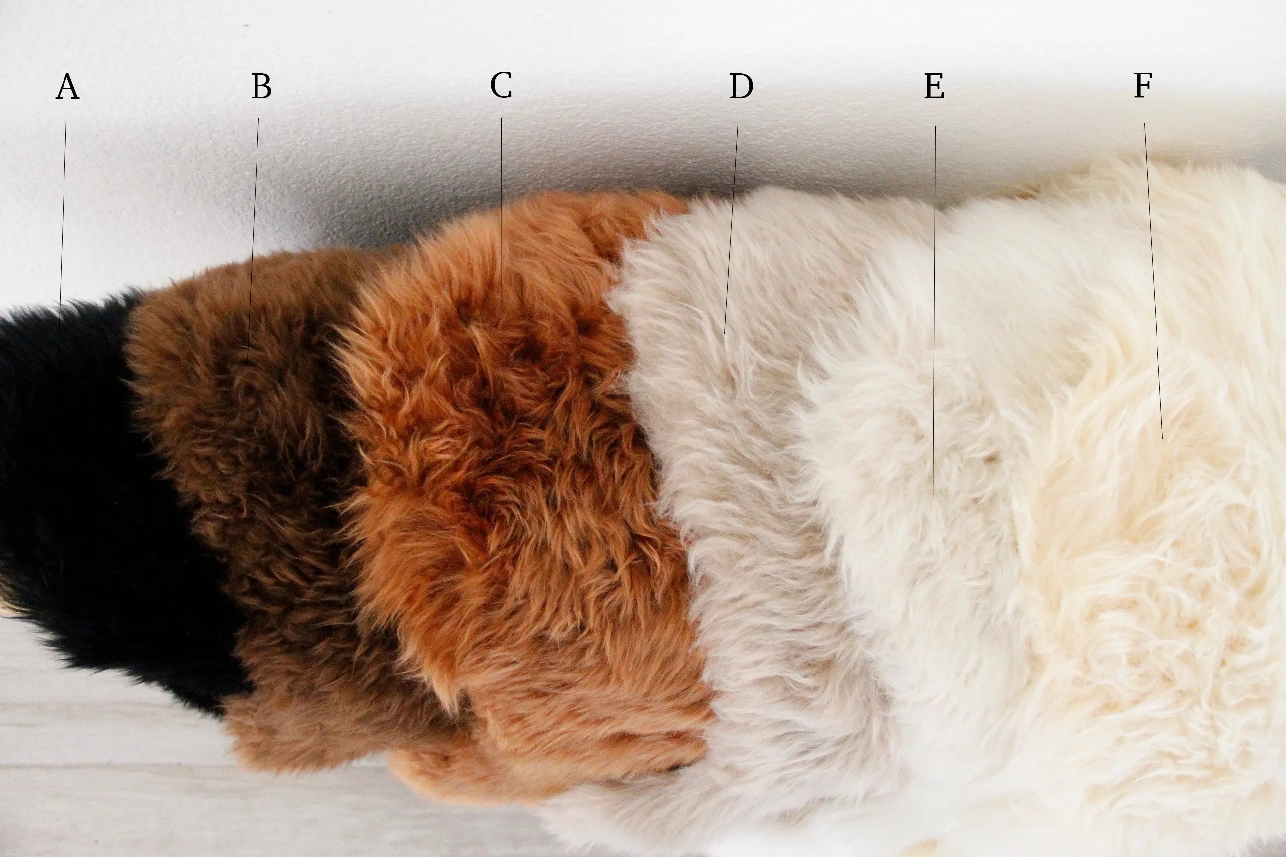 Sheepskin Pelt | Authentic Luxury Throw/Rug-Assorted  Debra Hall Lifestyle