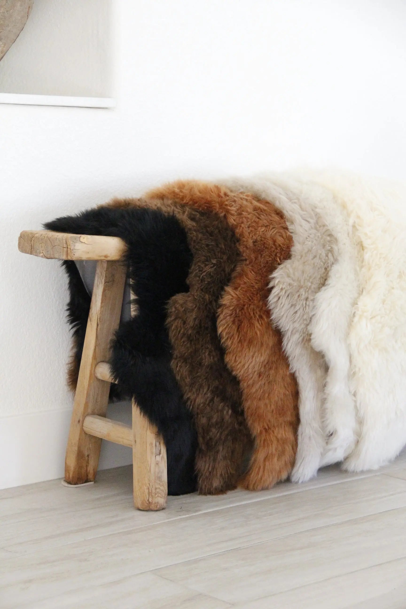 Sheepskin Pelt | Authentic Luxury Throw/Rug-Assorted  Debra Hall Lifestyle