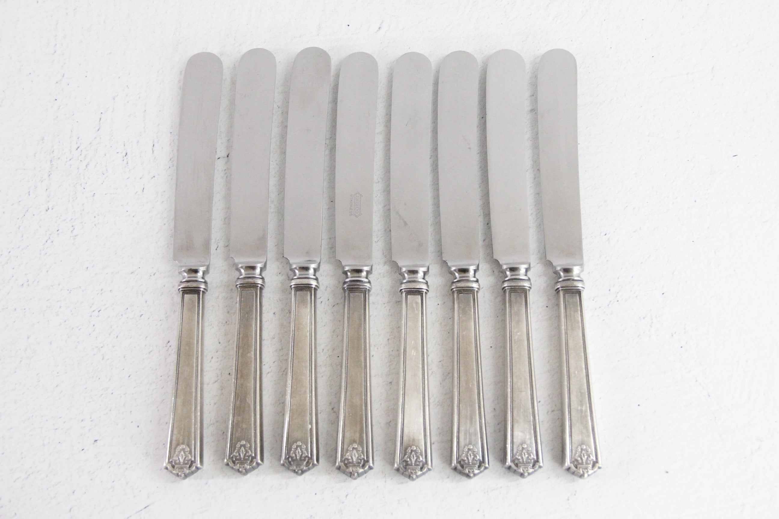 Stainless Butter Knives INSICO  Debra Hall Lifestyle