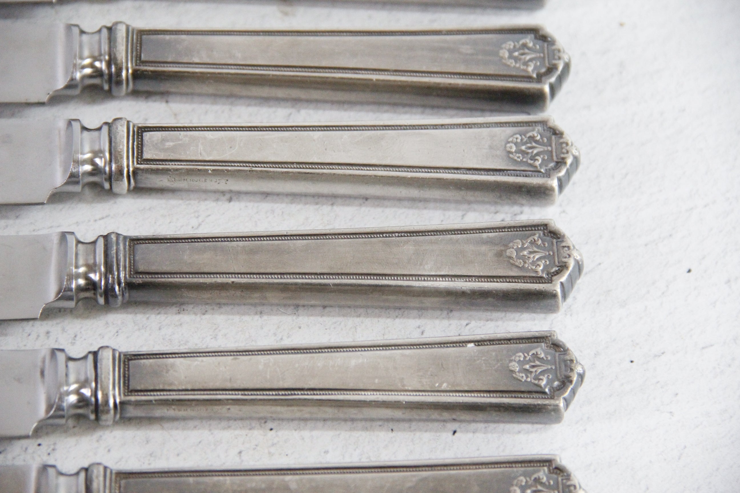 Stainless Butter Knives INSICO  Debra Hall Lifestyle