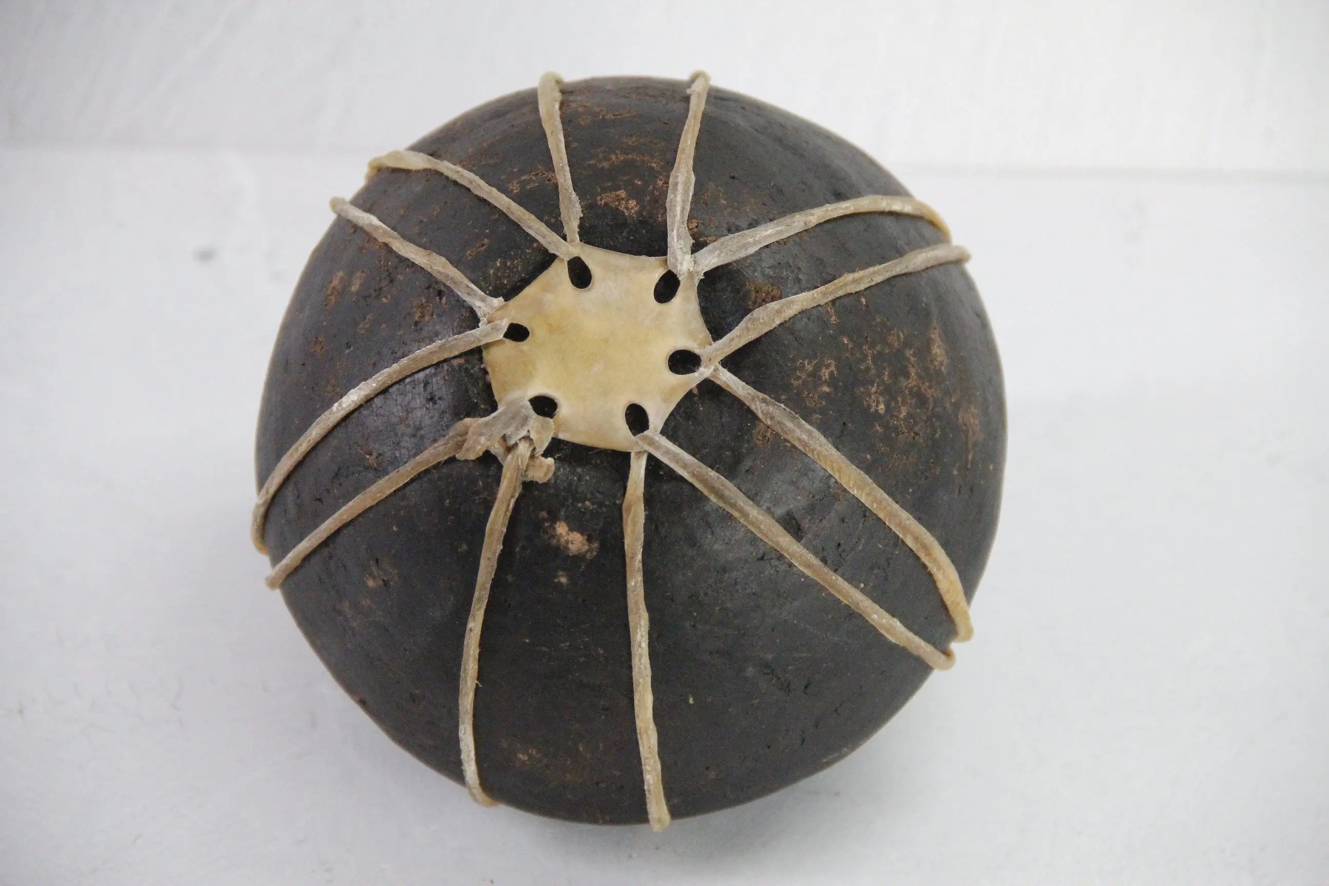 Tarahumara Pottery Olla  | Vintage Native Water Jug Clay Vessel  Debra Hall Lifestyle