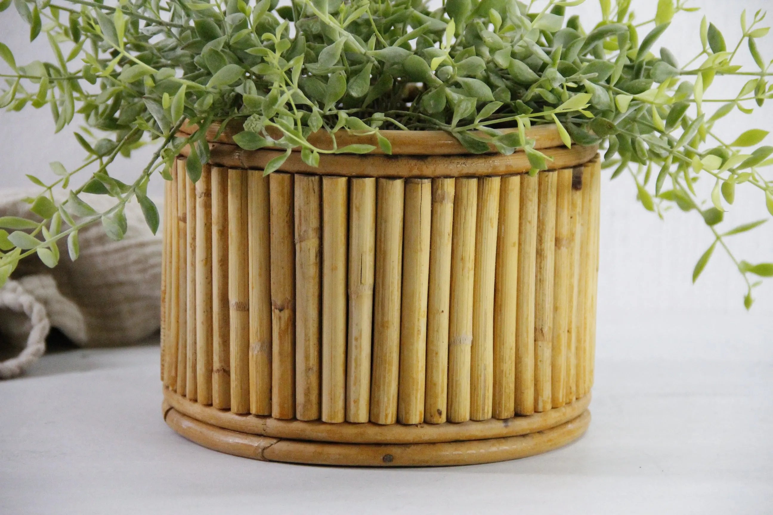 Vintage Bamboo Planter | Midcentury Pencil Reed 8"  Debra Hall Lifestyle