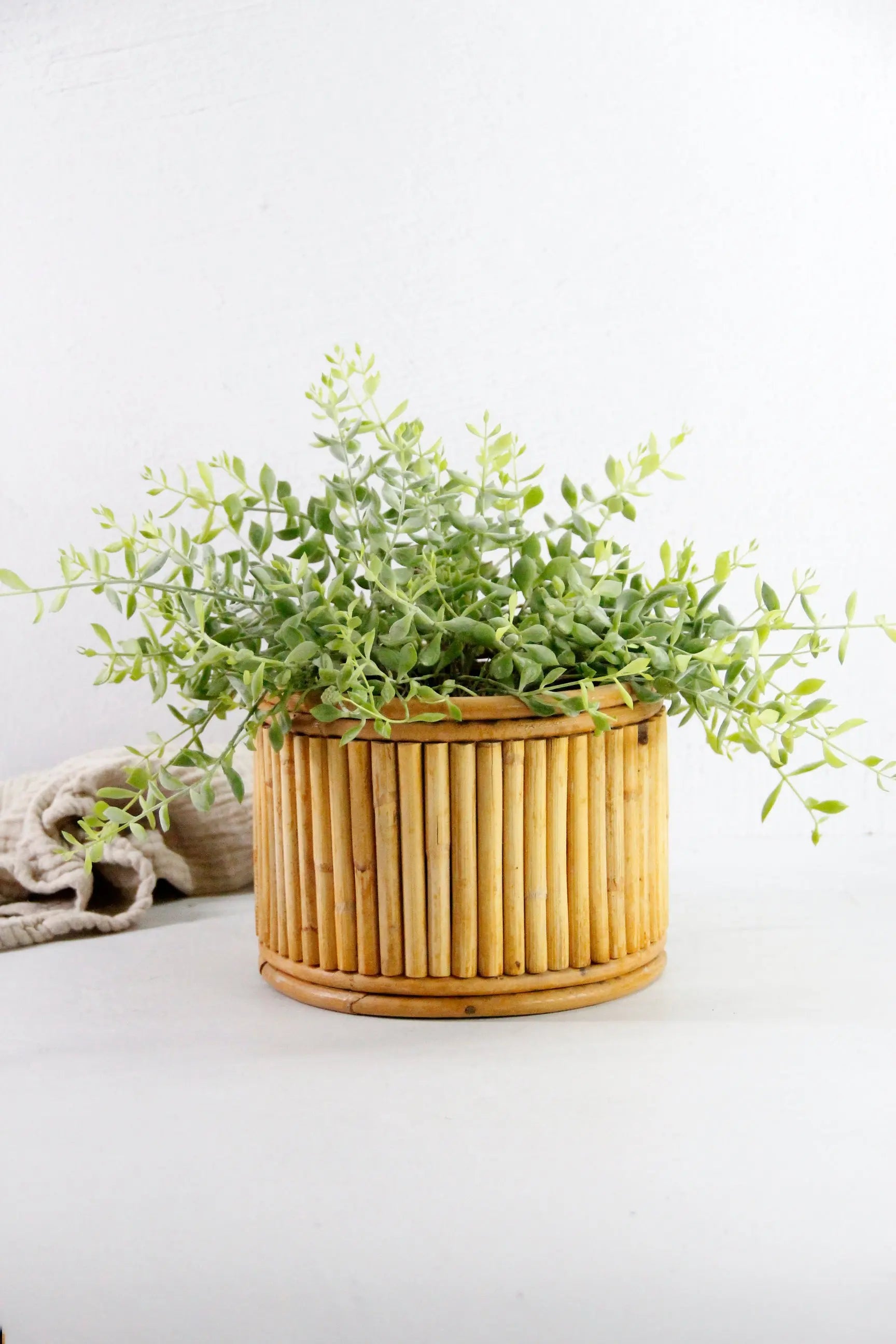 Vintage Bamboo Planter | Midcentury Pencil Reed 8"  Debra Hall Lifestyle