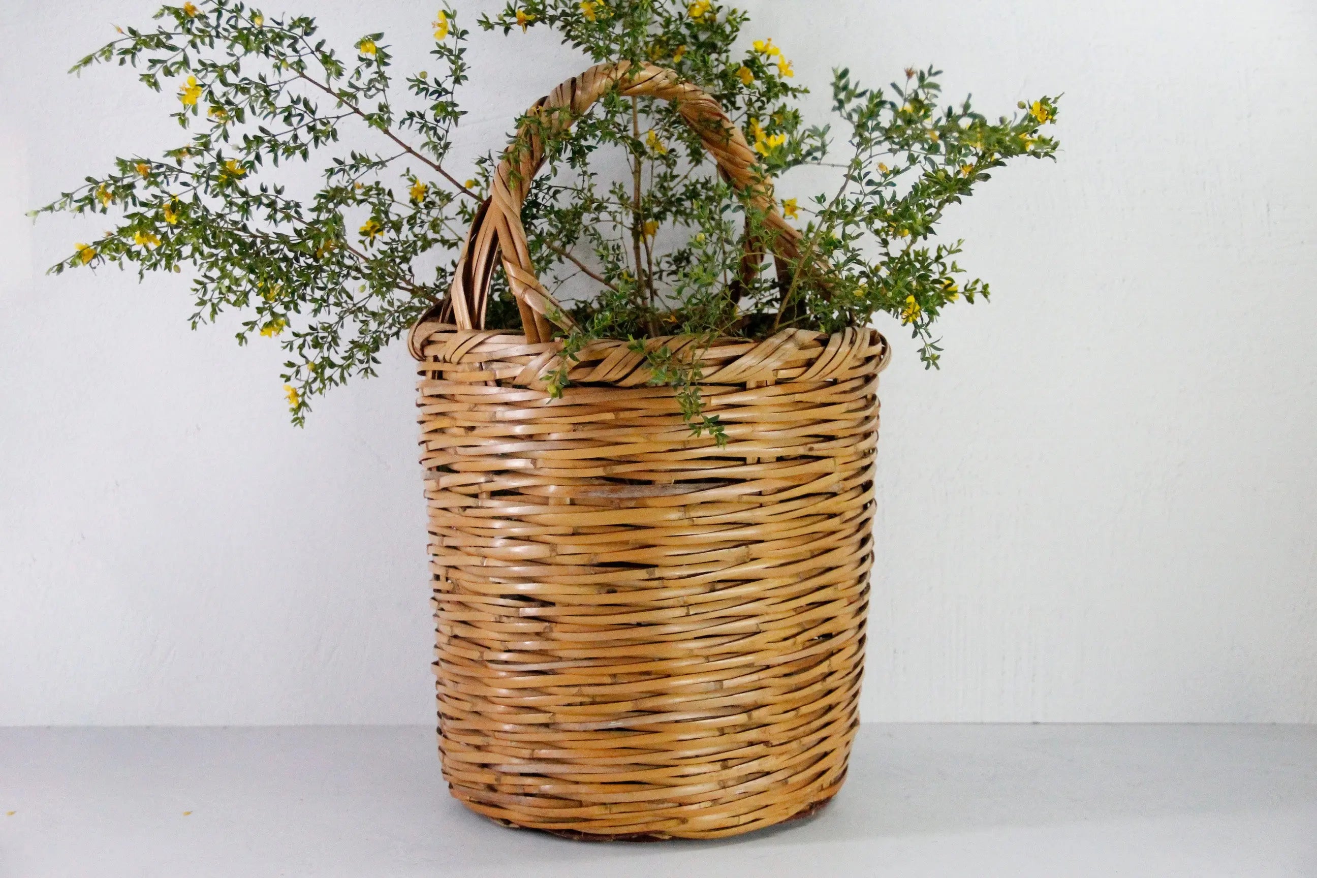 Vintage Basket with Handle | 1970s Large Split Bamboo Cane  Debra Hall Lifestyle