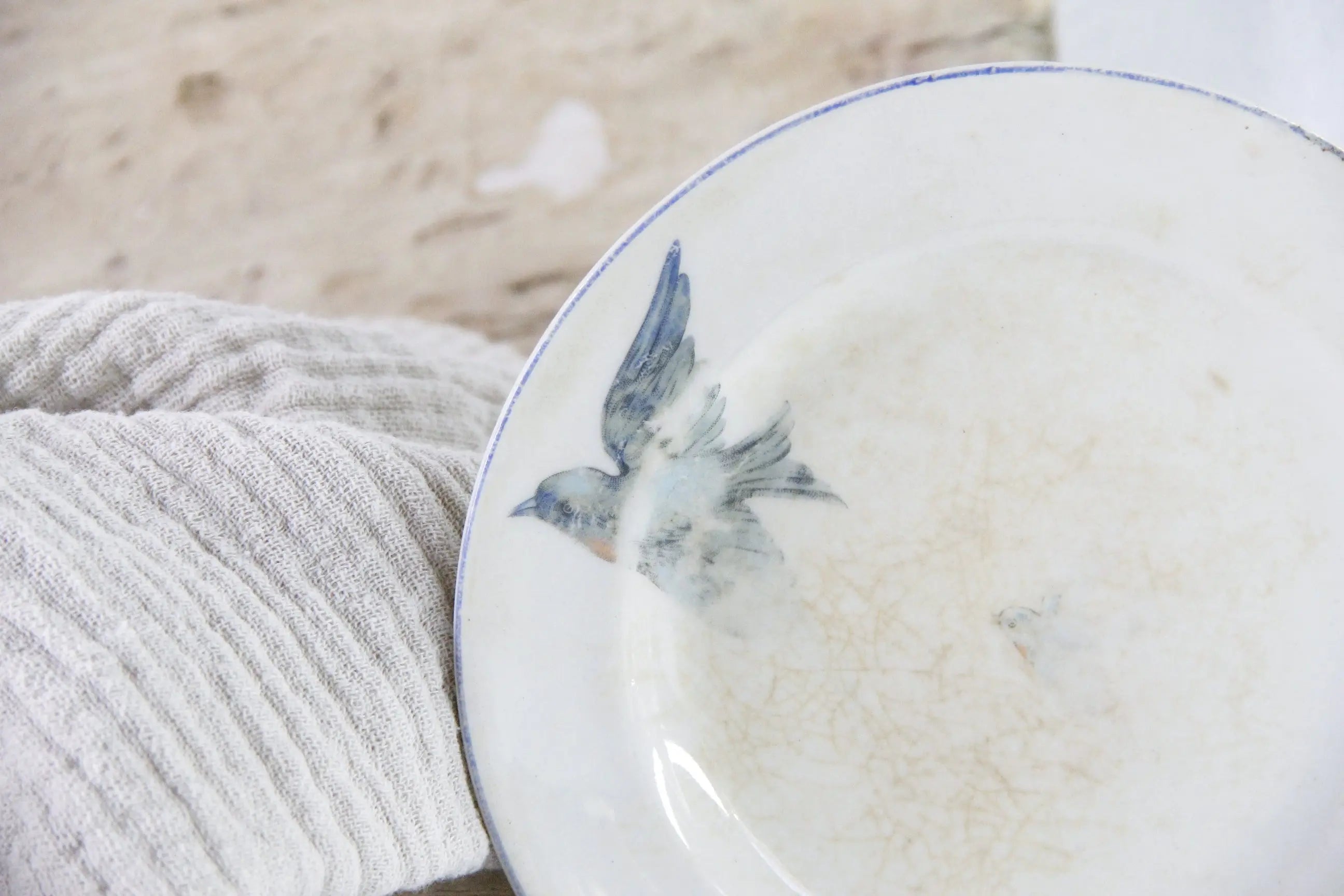 Vintage Bluebird Ironstone Plate | Crazed Pale Blue
