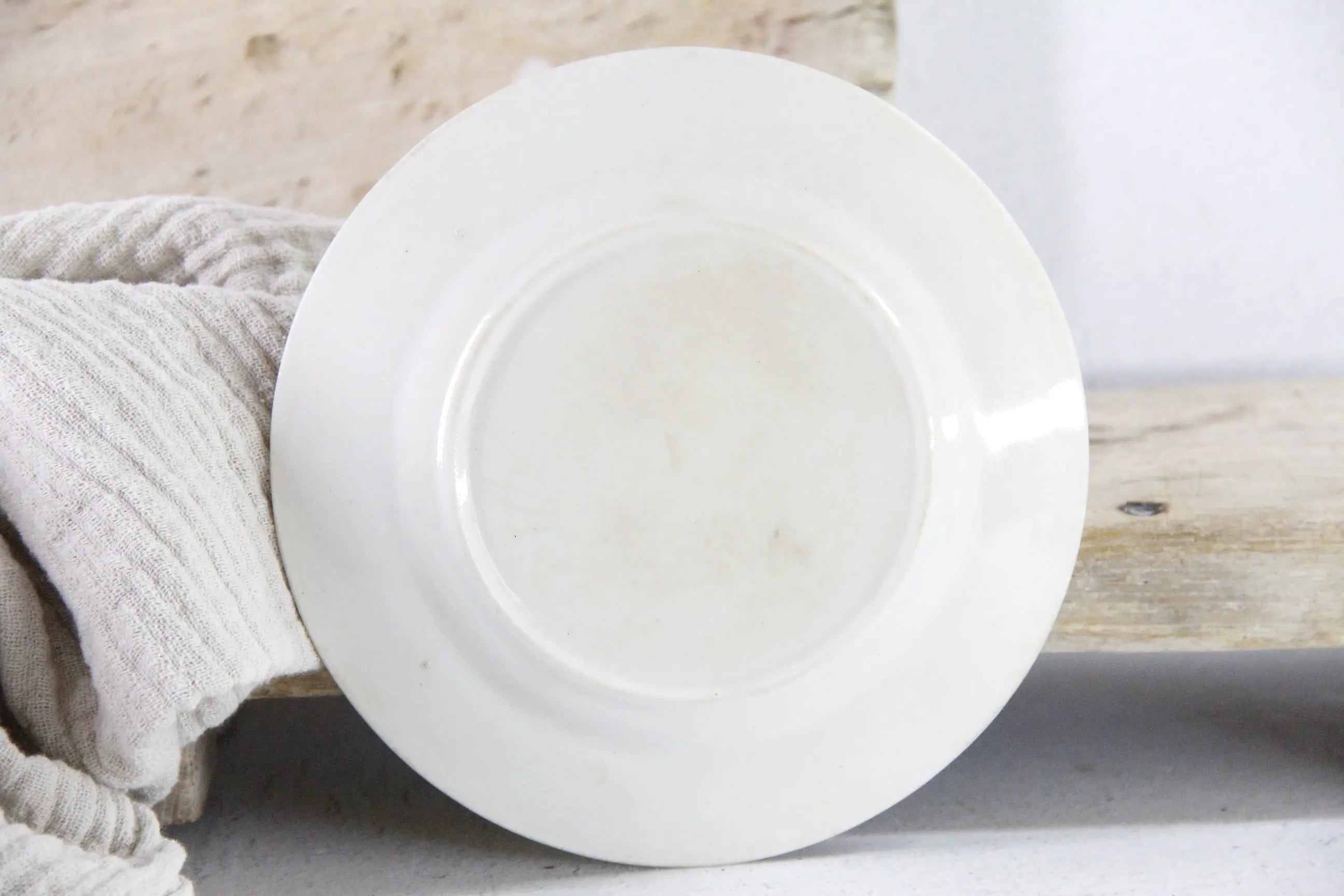 Vintage Bluebird Ironstone Plate | Crazed Pale Blue