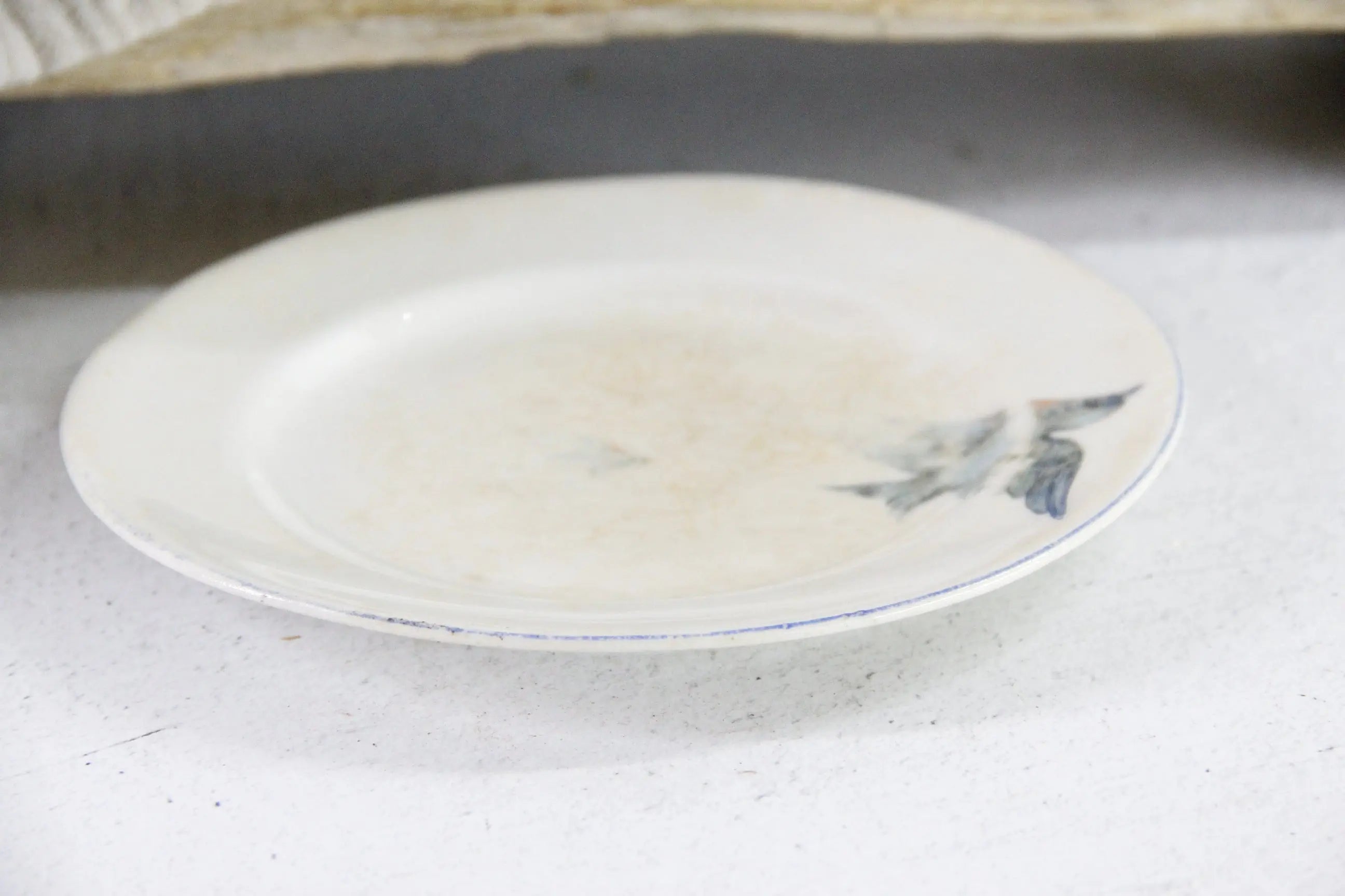 Vintage Bluebird Ironstone Plate | Crazed Pale Blue