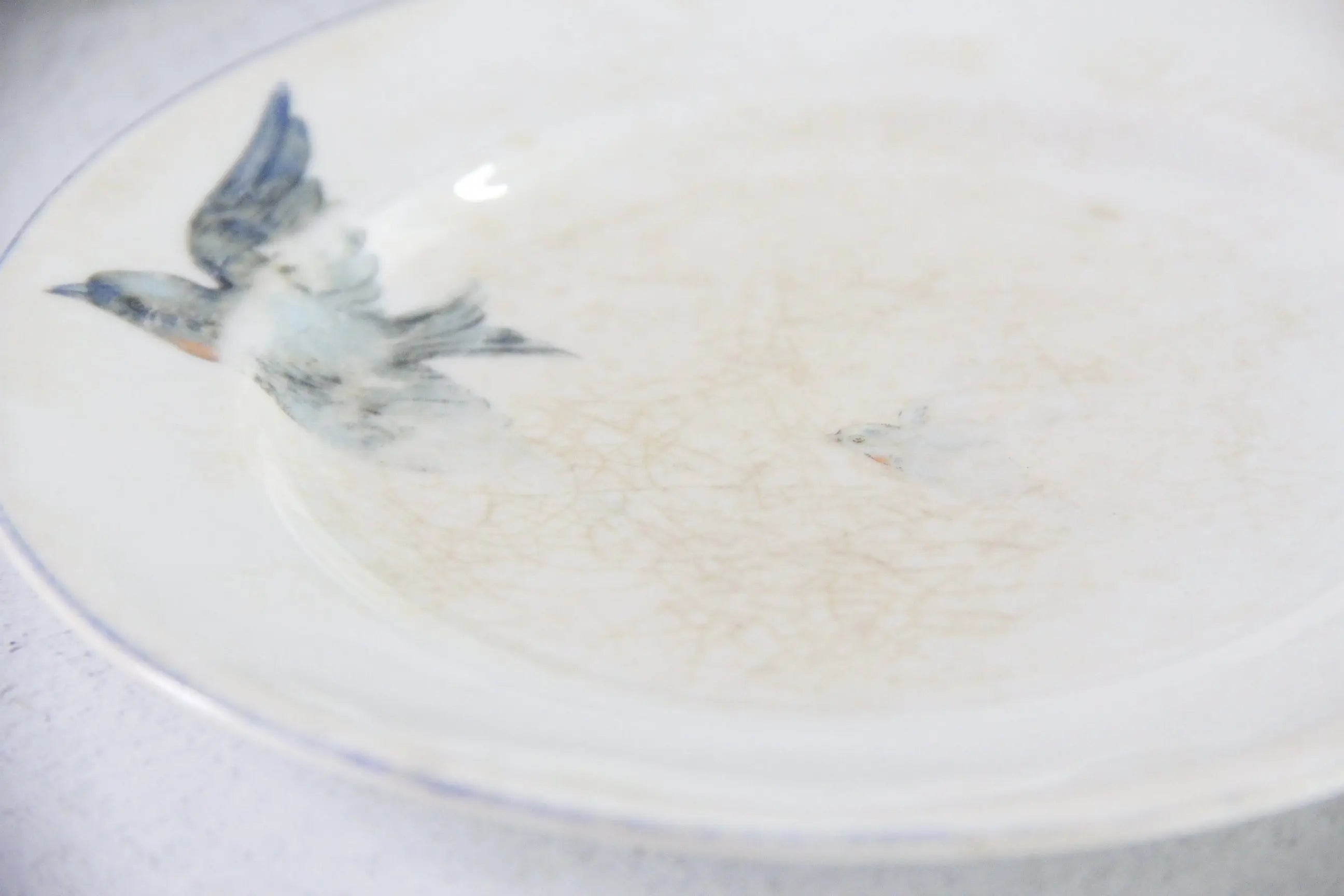Vintage Bluebird Ironstone Plate | Crazed Pale Blue
