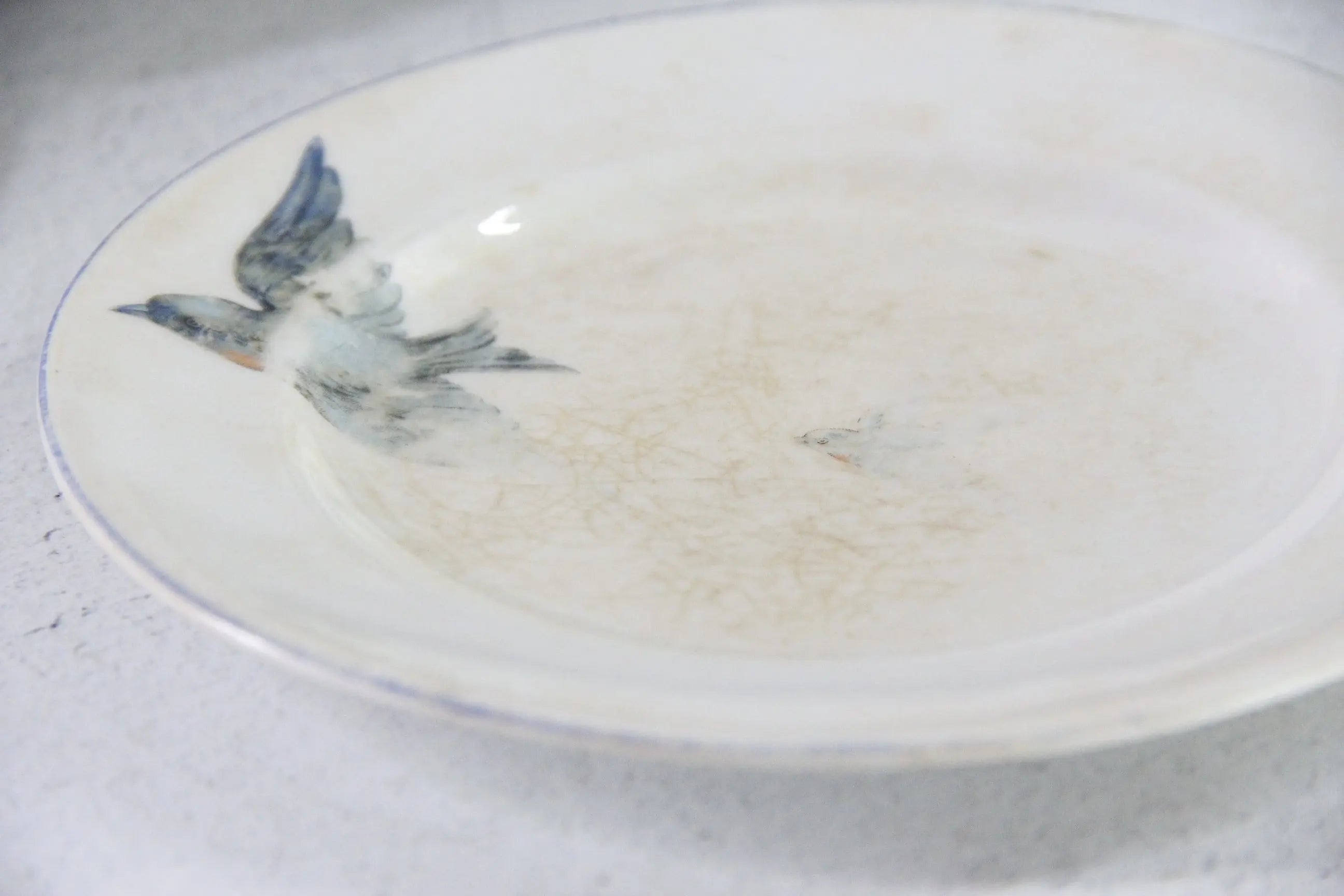 Vintage Bluebird Ironstone Plate | Crazed Pale Blue